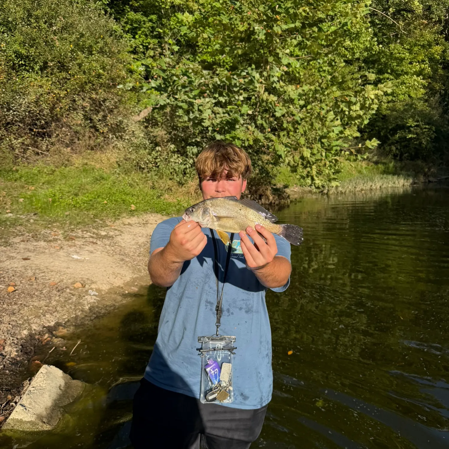 Freshwater drum caught on Fishbrain