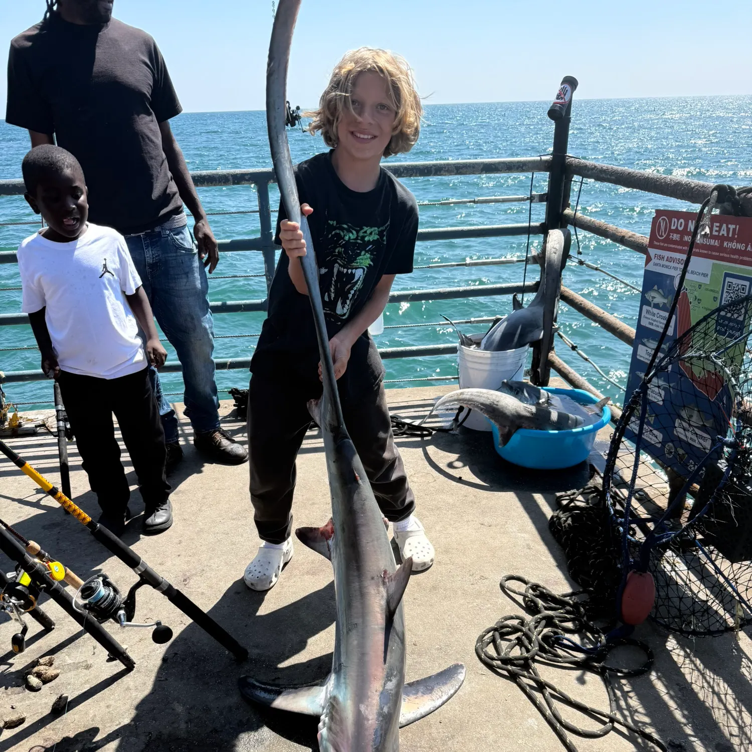 The most recent Bigeye thresher catches on Fishbrain