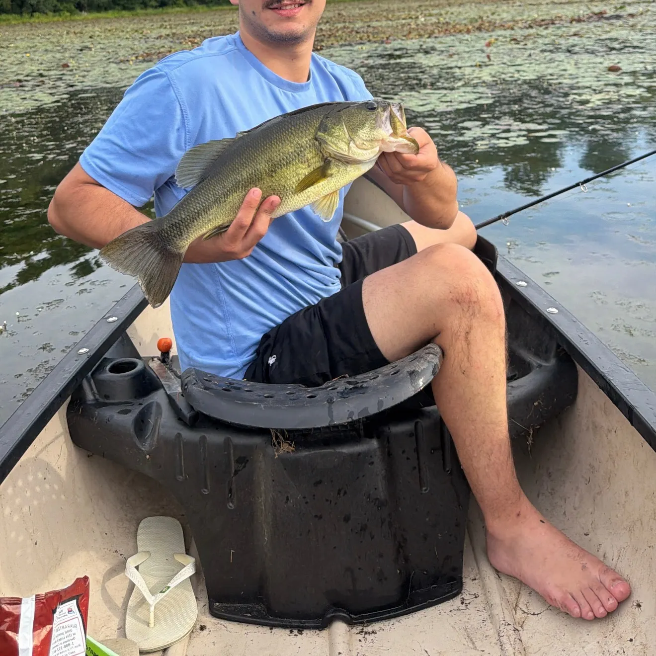 Largemouth bass caught on Fishbrain