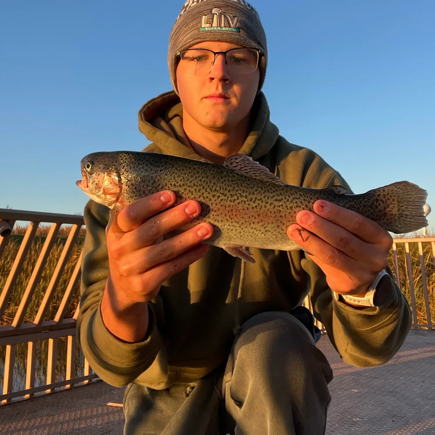 Rainbow trout caught on Fishbrain