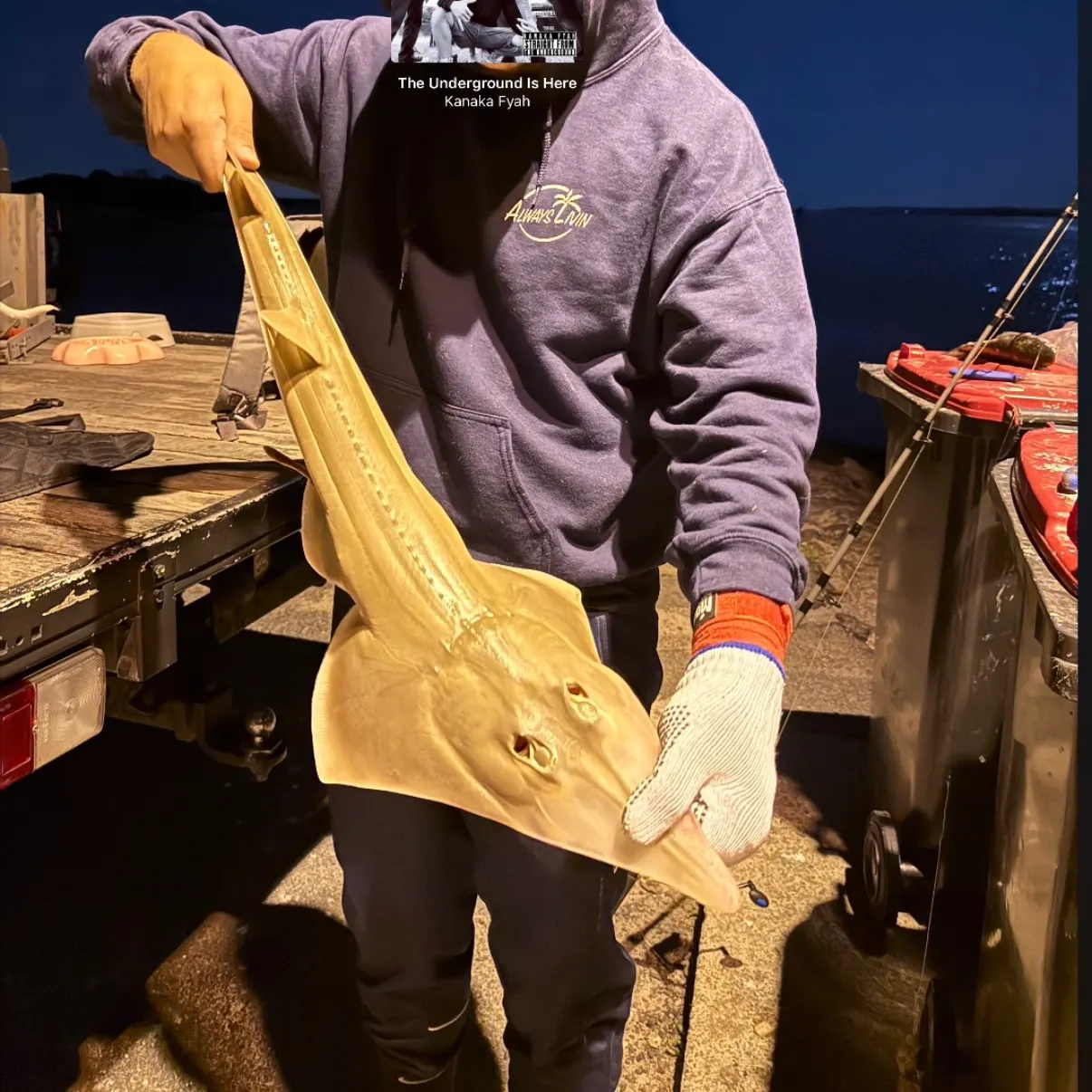 recently logged catches