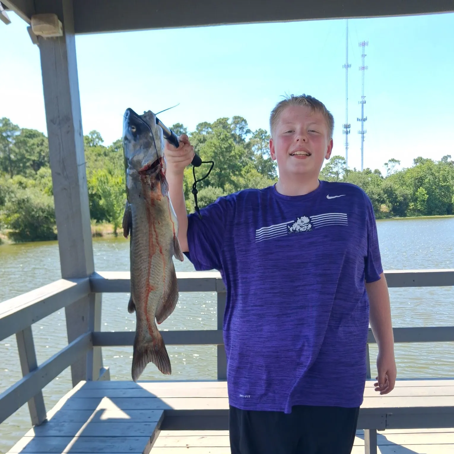 Channel catfish caught on Fishbrain