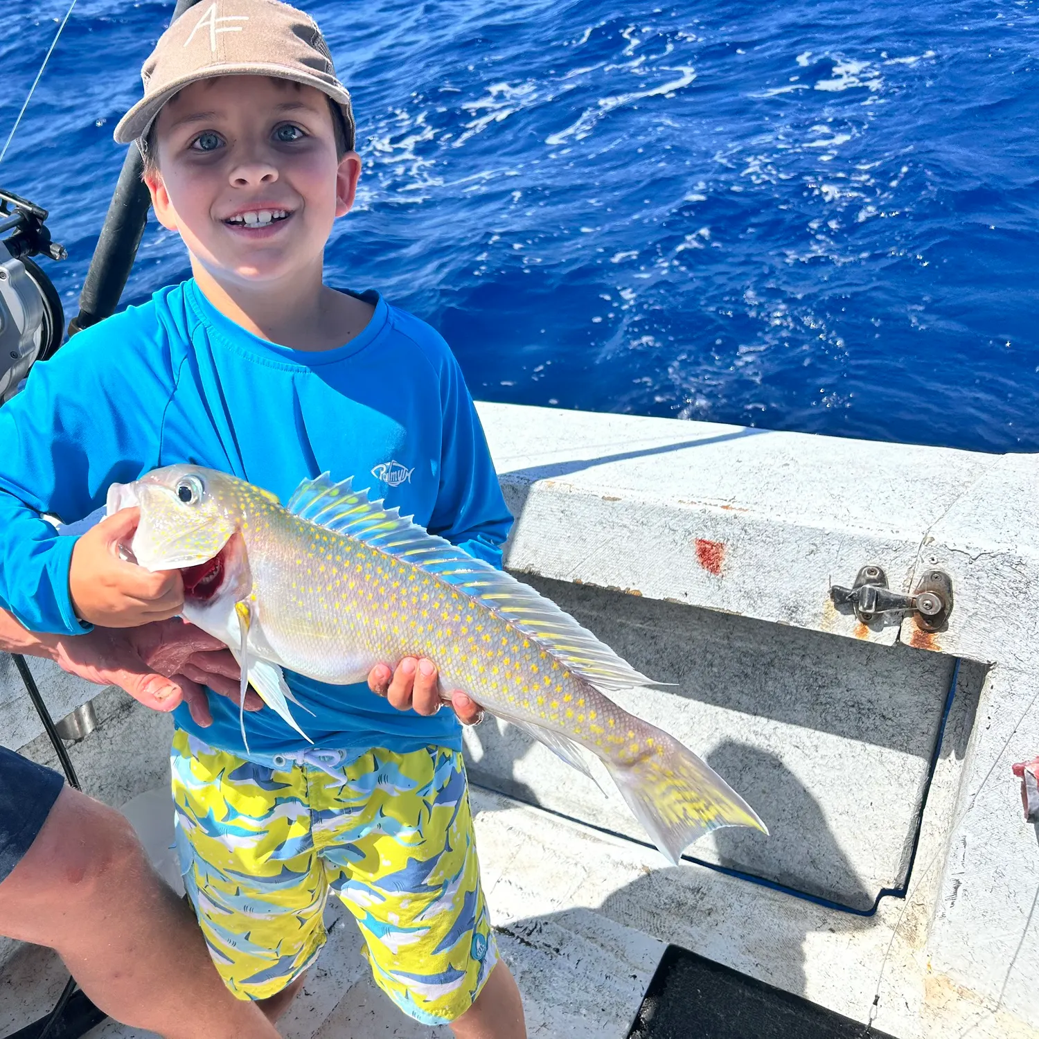 The most recent Great northern tilefish catches on Fishbrain