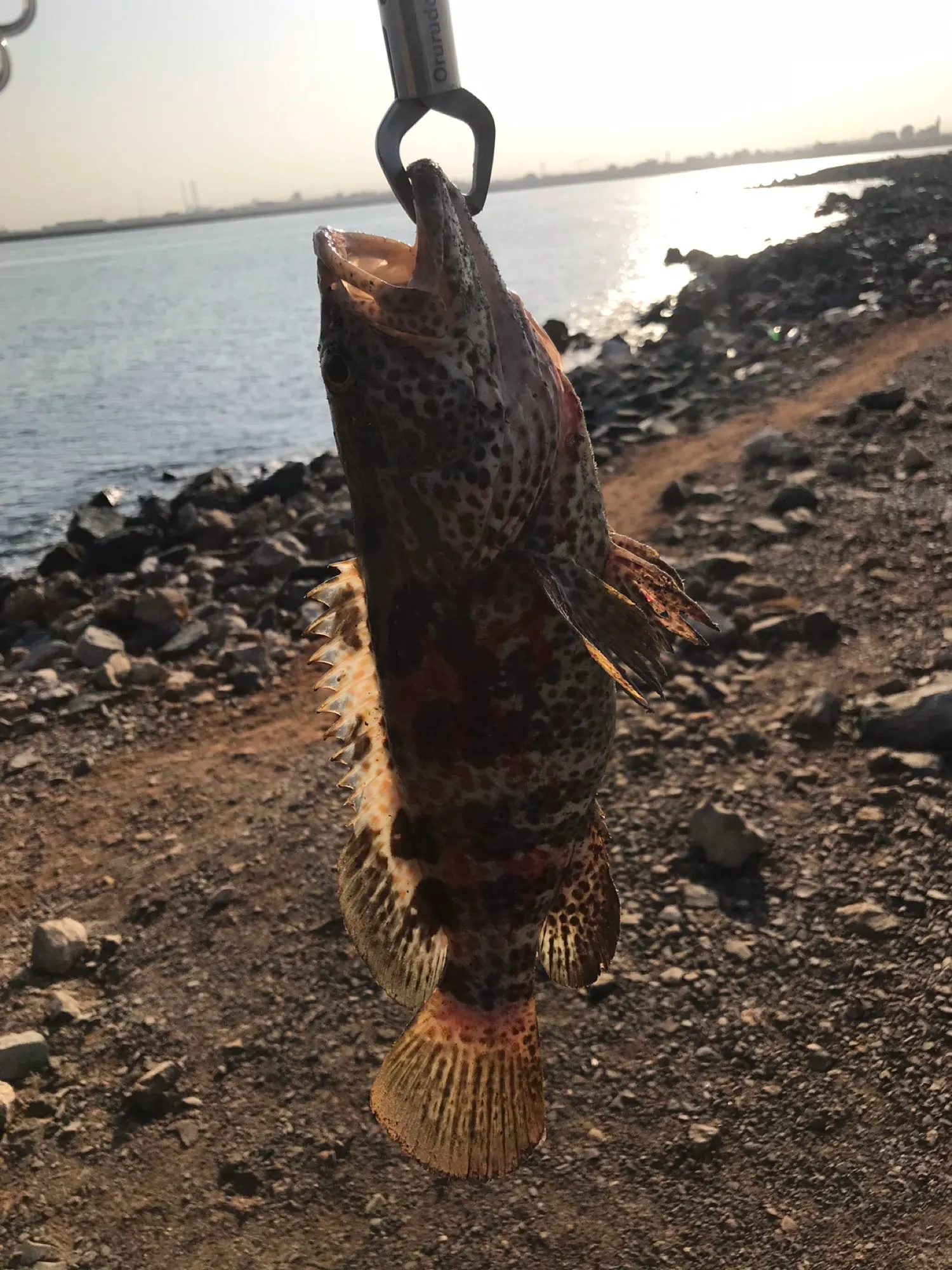 Post image from DocPogi