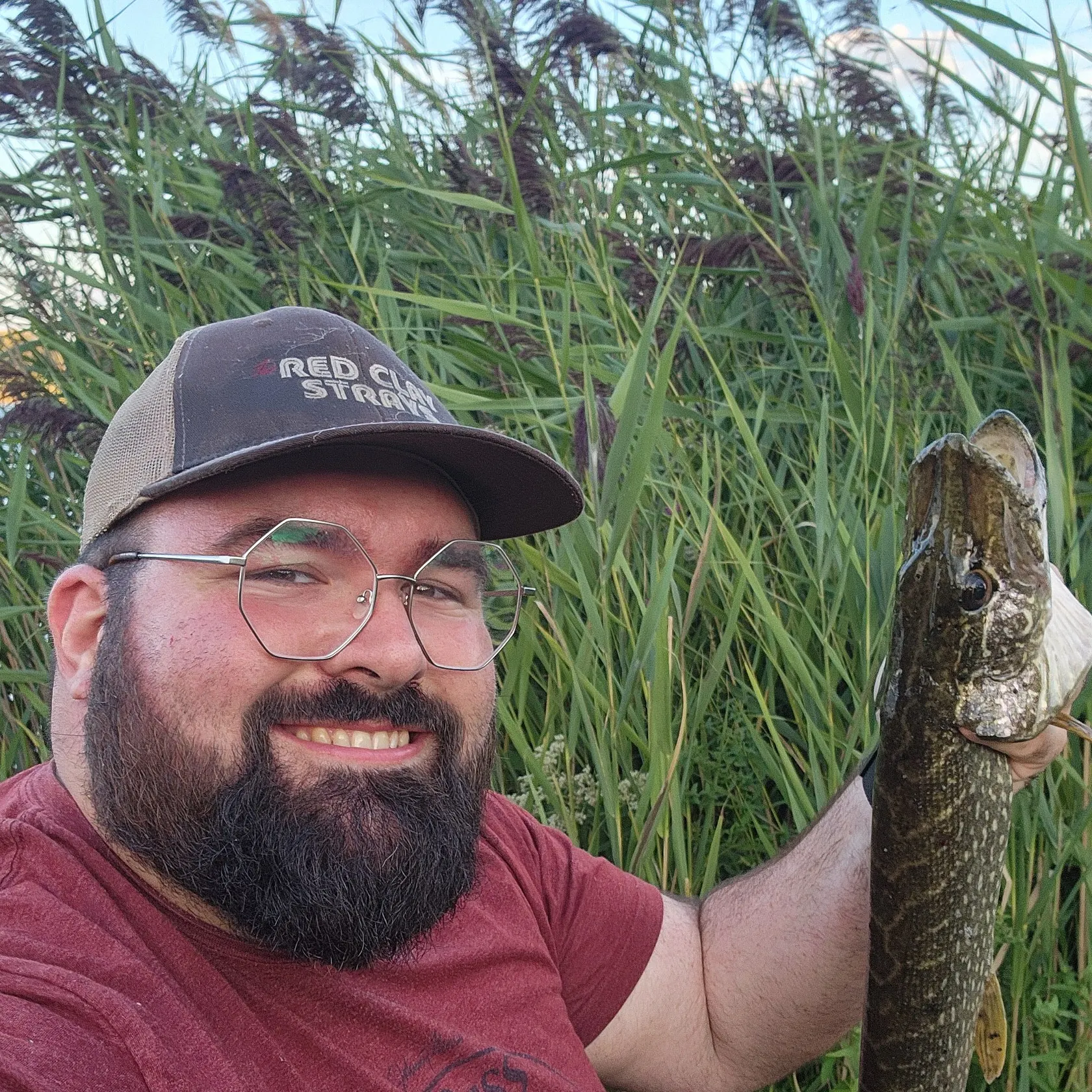 Northern pike caught on Fishbrain