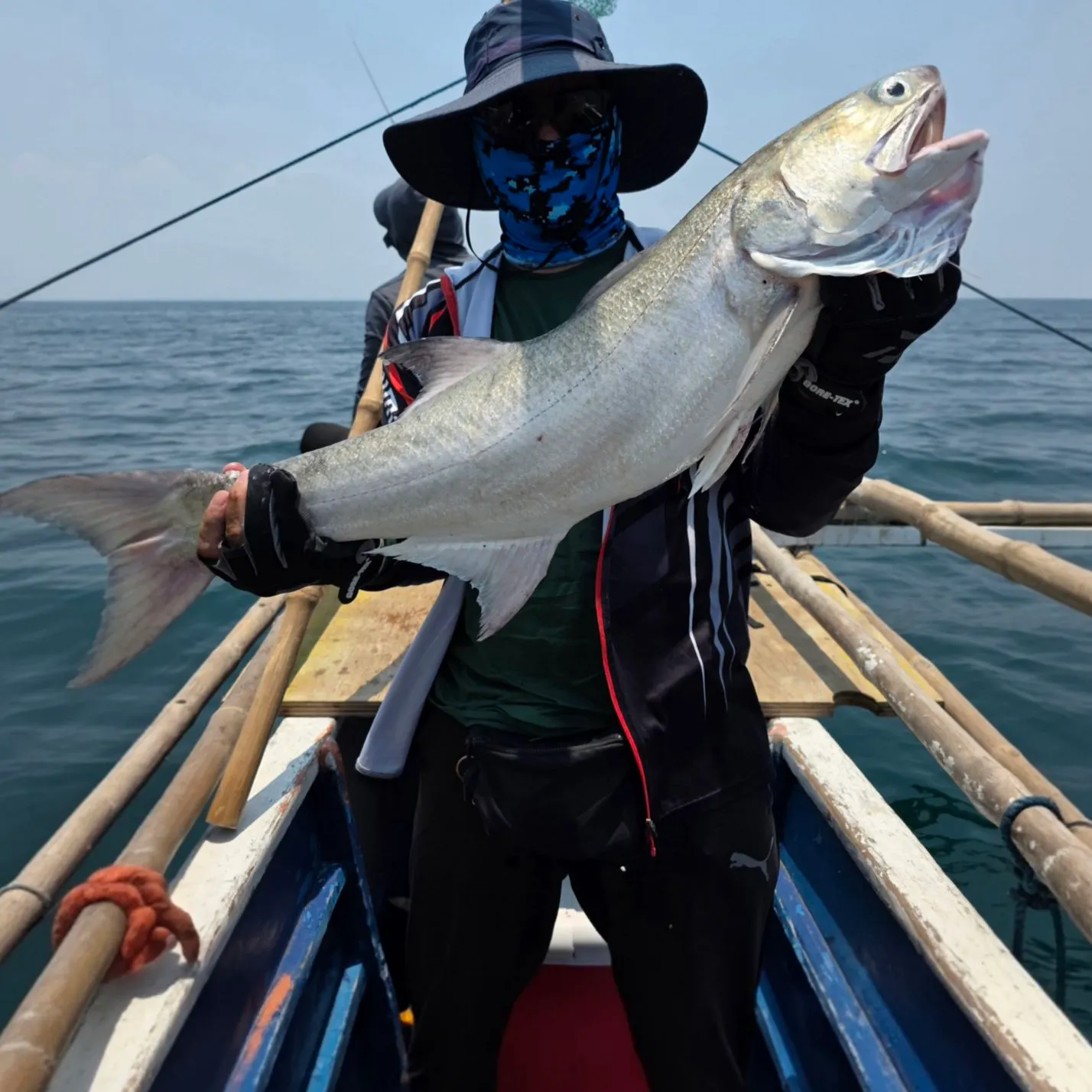 The most recent Fourfinger threadfin catches on Fishbrain