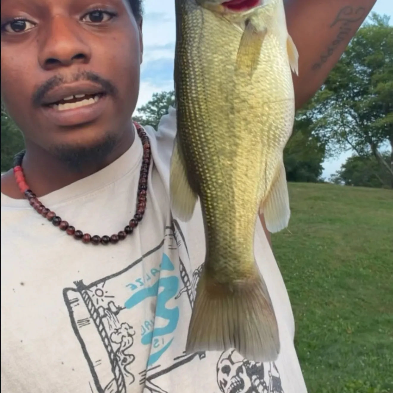 Largemouth bass caught on Fishbrain