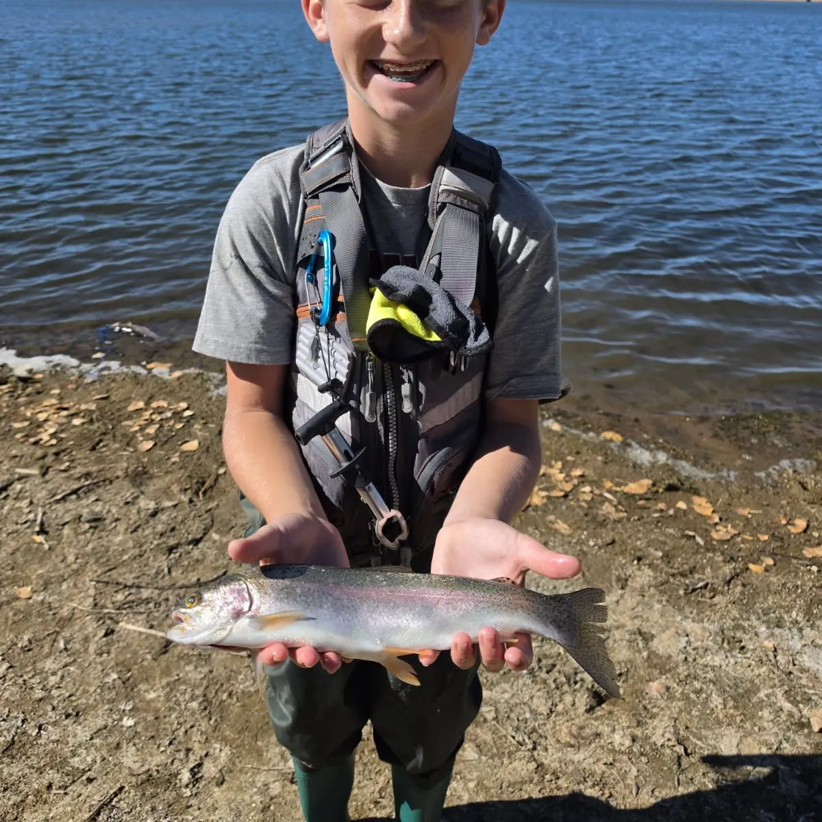 Rainbow trout caught on Fishbrain