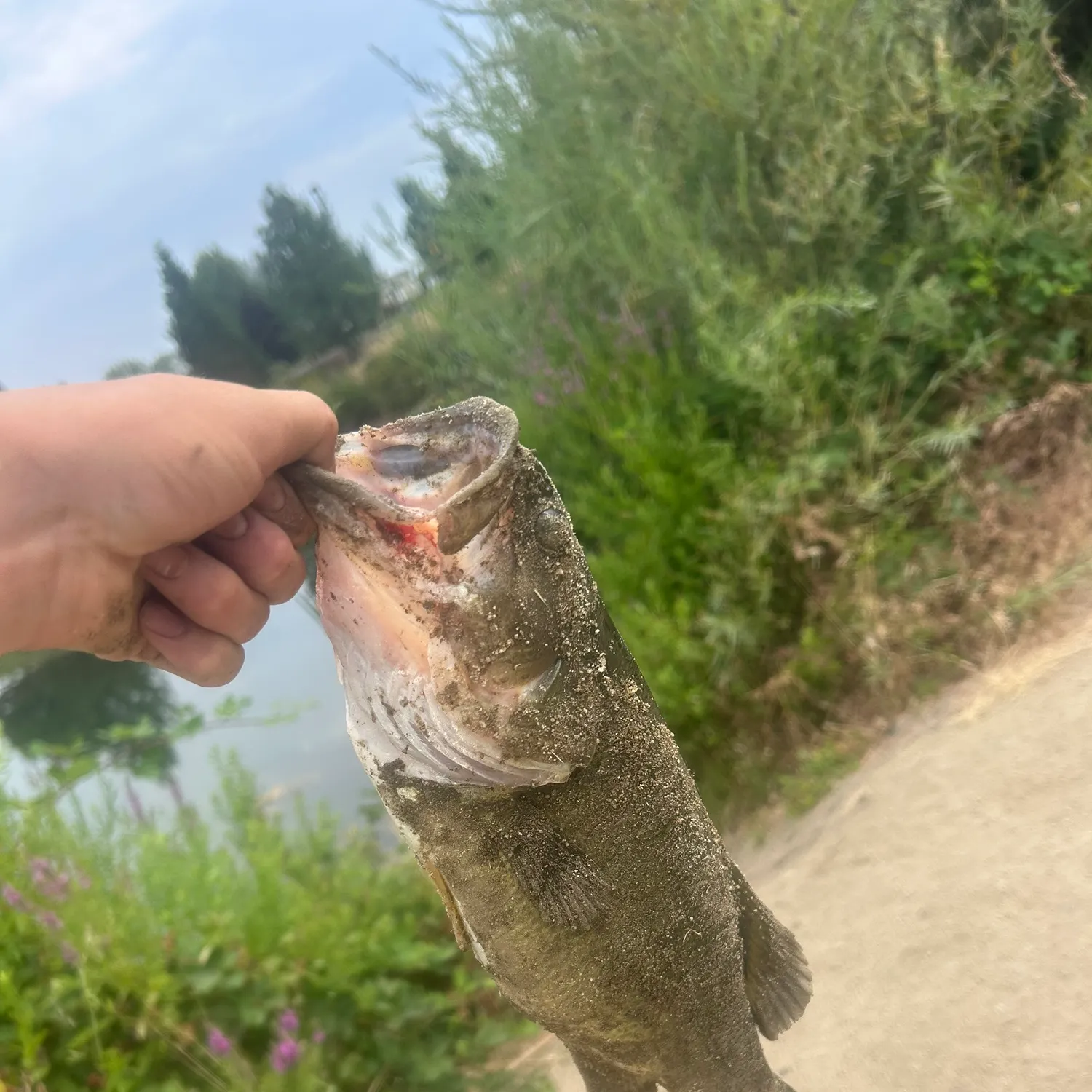 catch