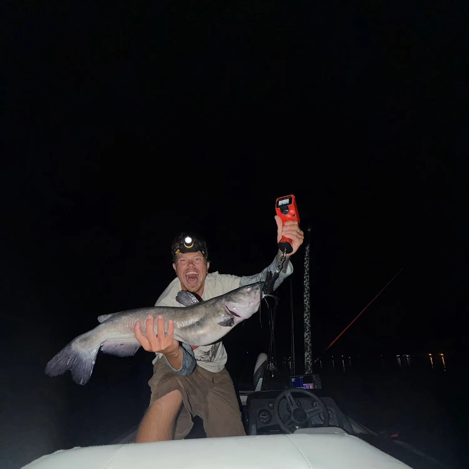 Channel catfish caught on Fishbrain