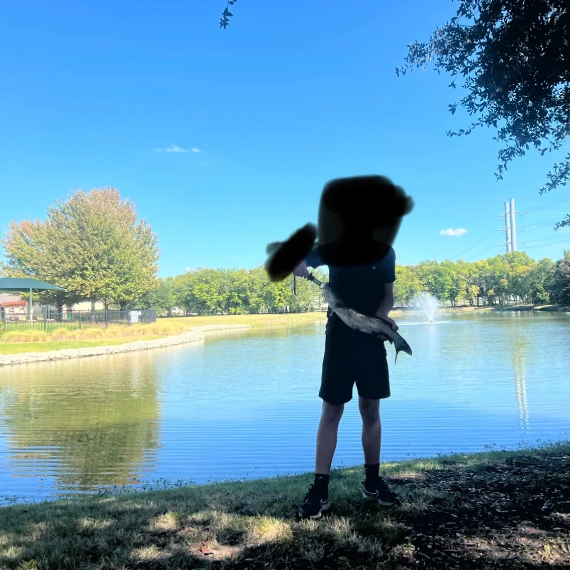 Channel catfish caught on Fishbrain