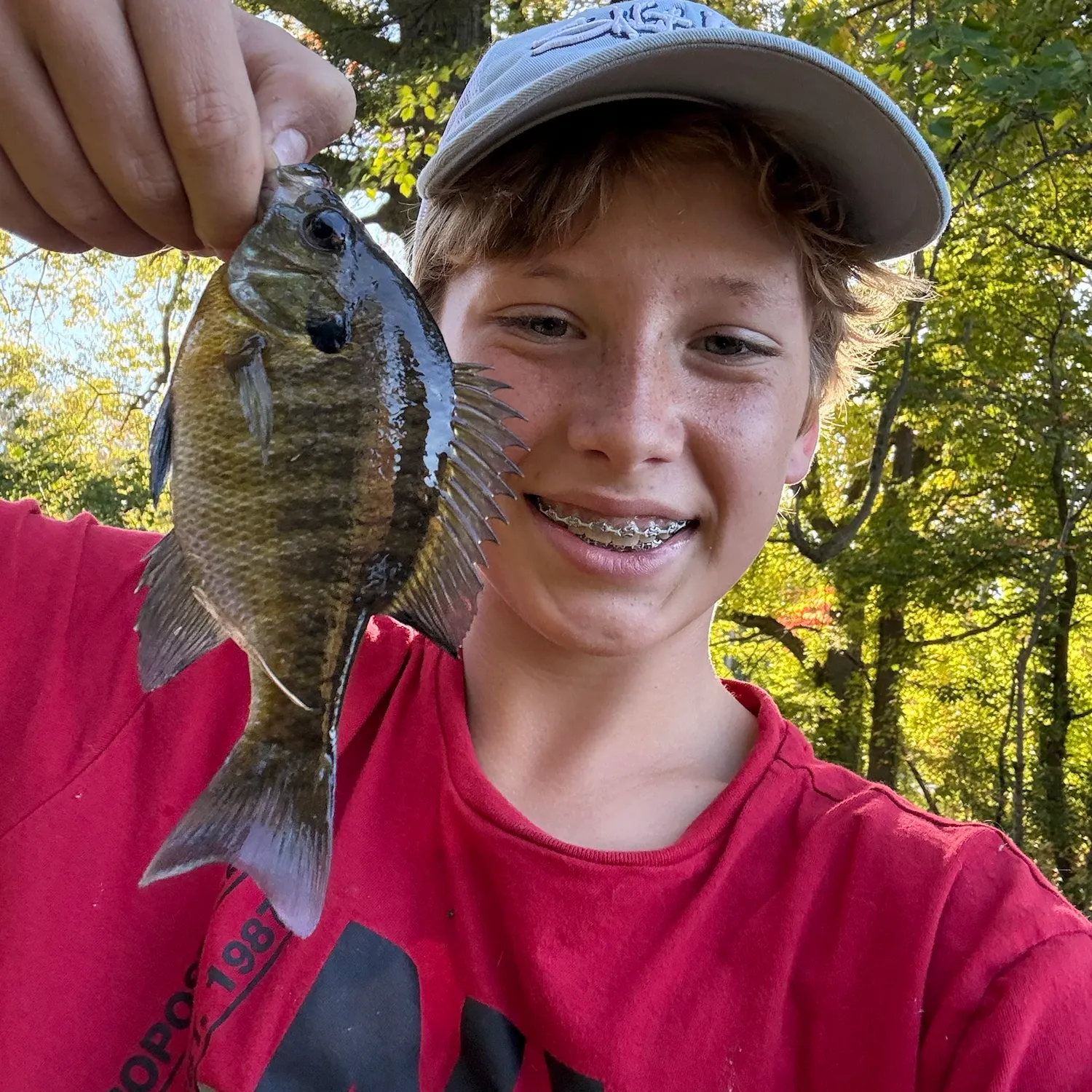 Bluegill caught on Fishbrain