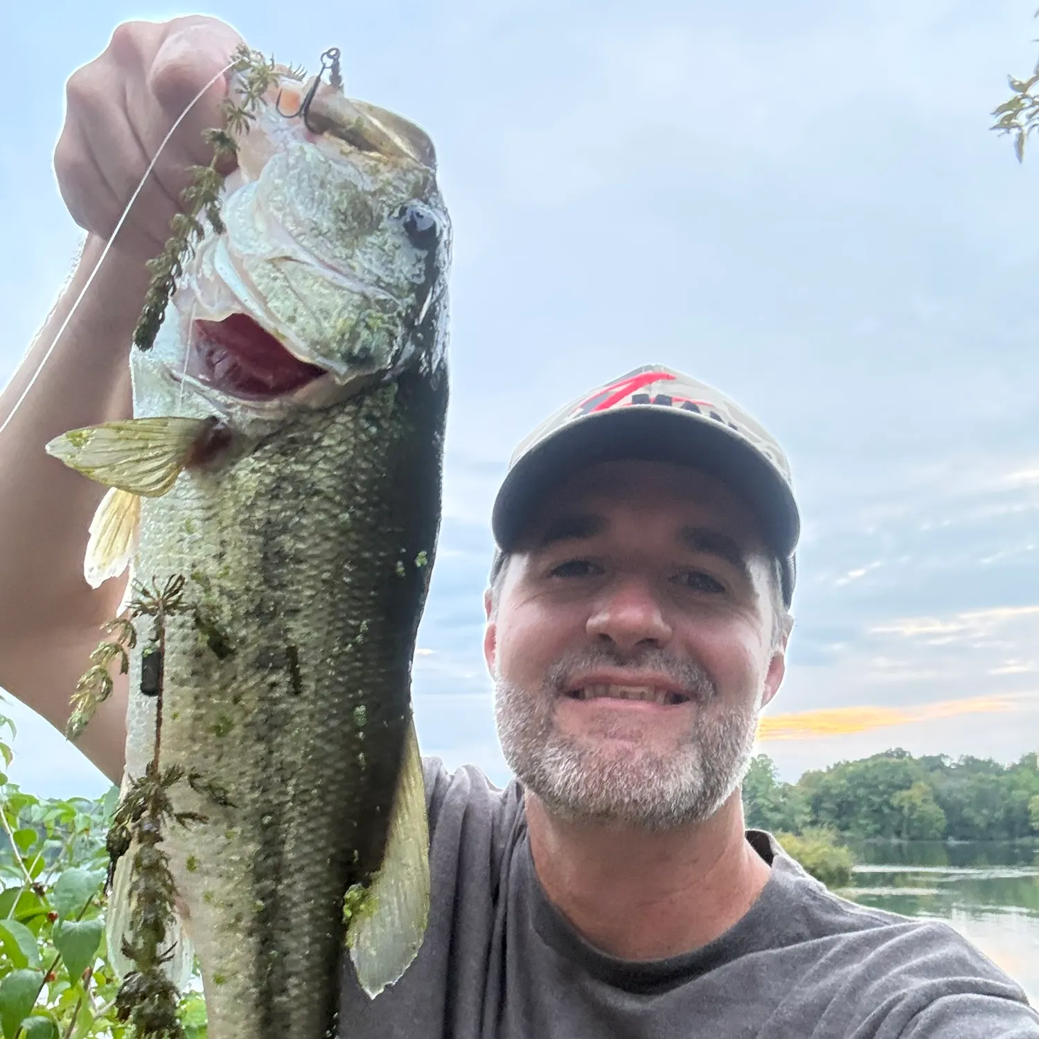 Largemouth bass caught on Fishbrain