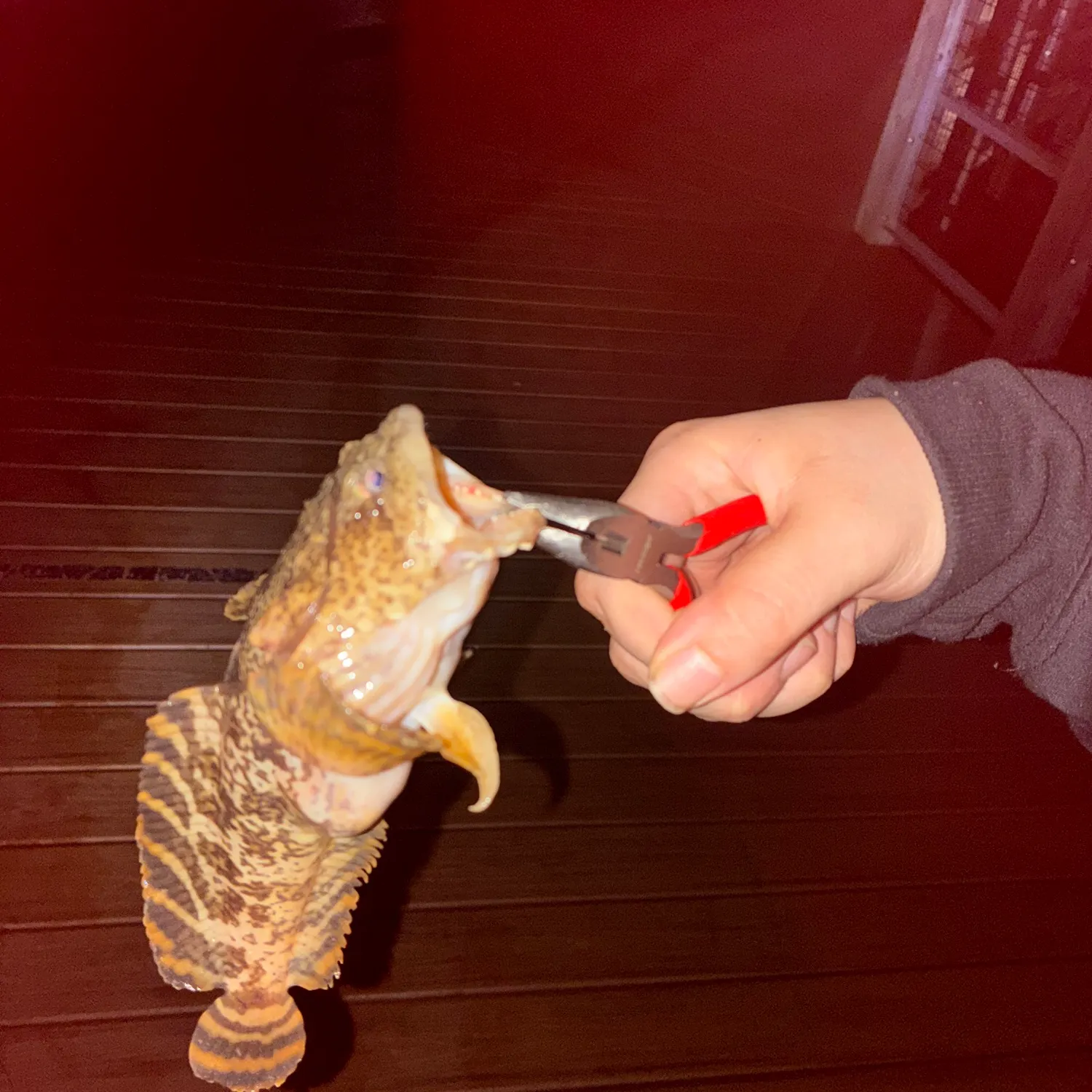 catch