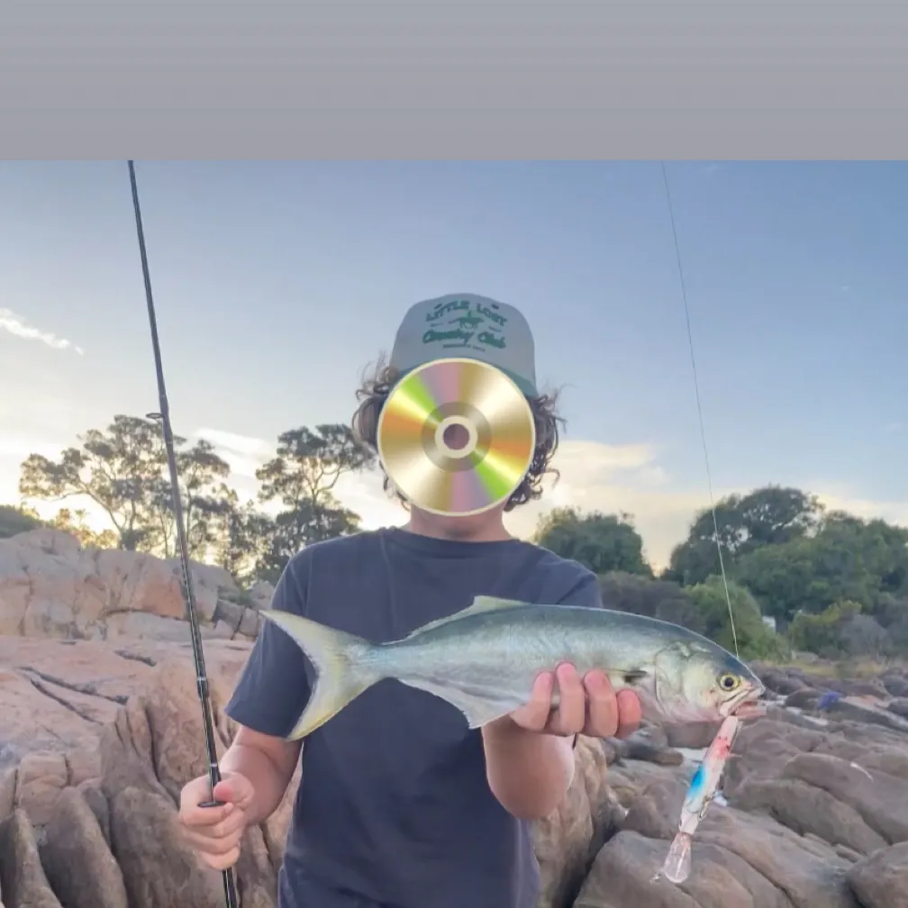 The most recent Bluefish catches on Fishbrain