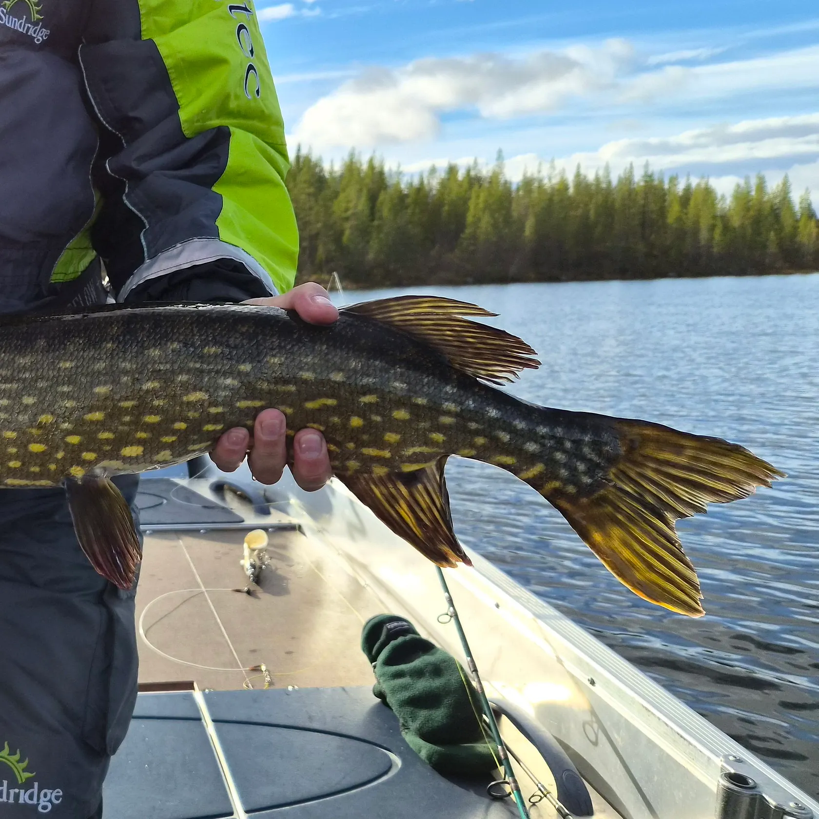 Northern pike caught on Fishbrain