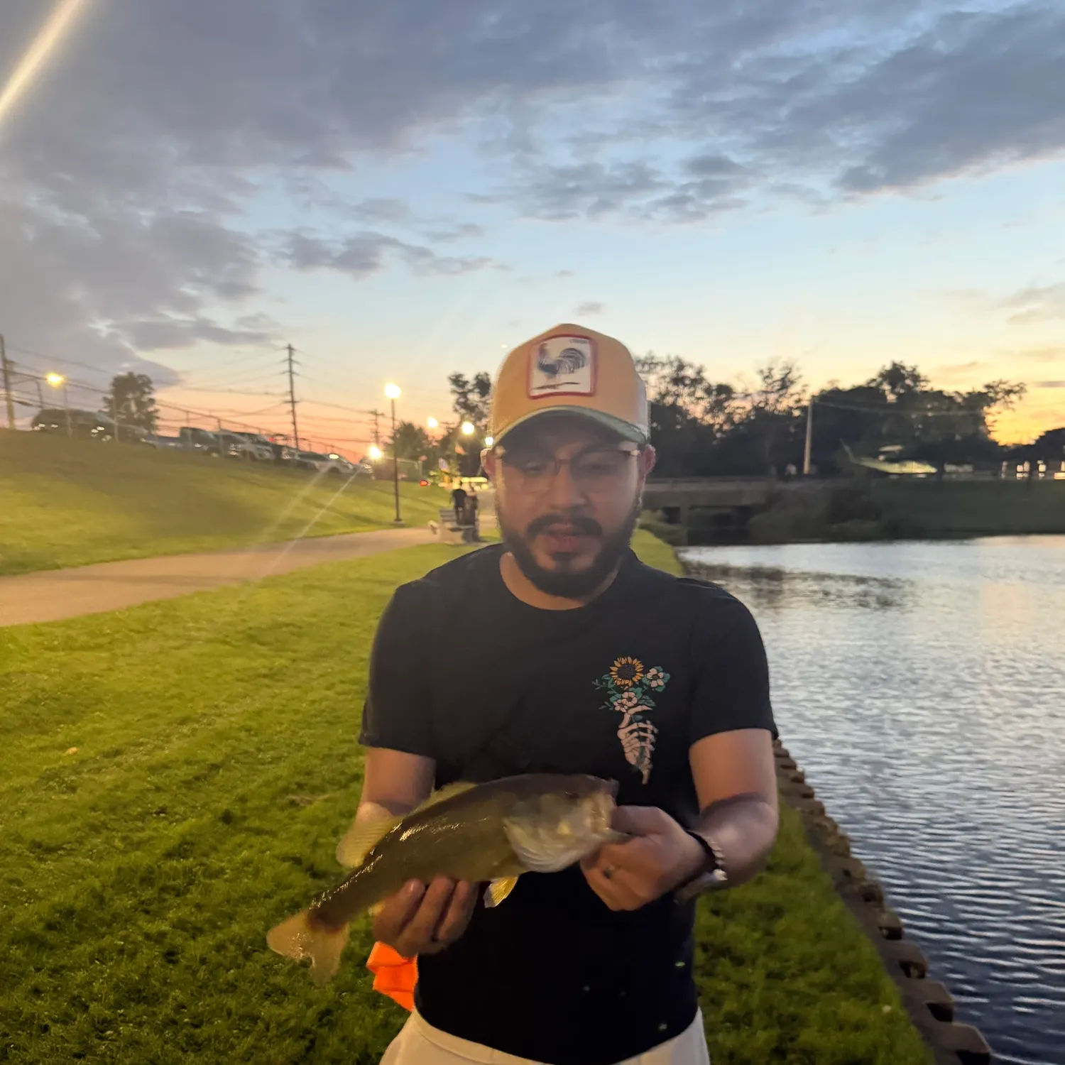 Largemouth bass caught on Fishbrain