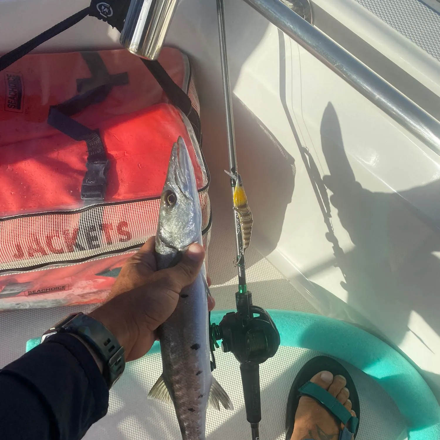 recently logged catches