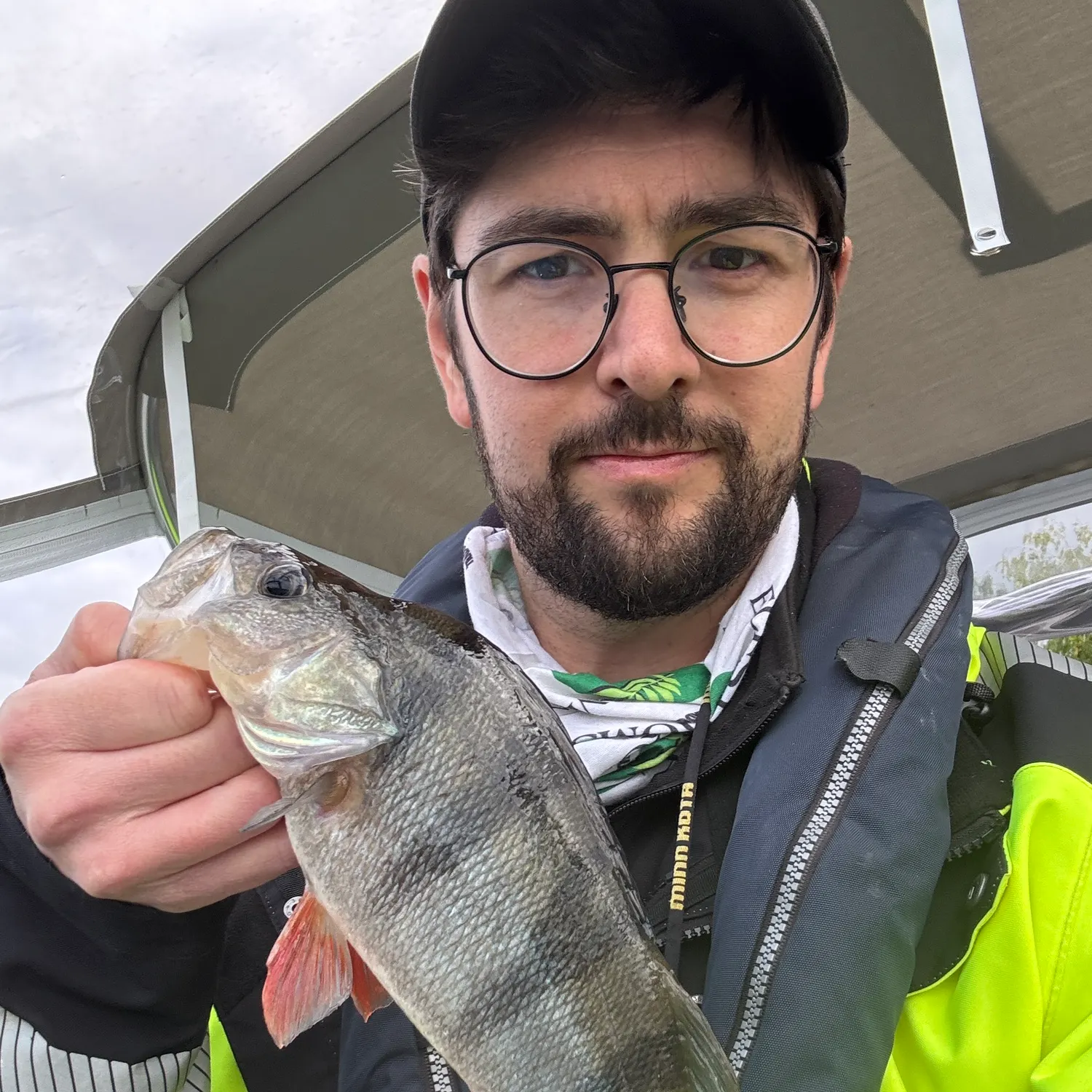 European perch caught on Fishbrain