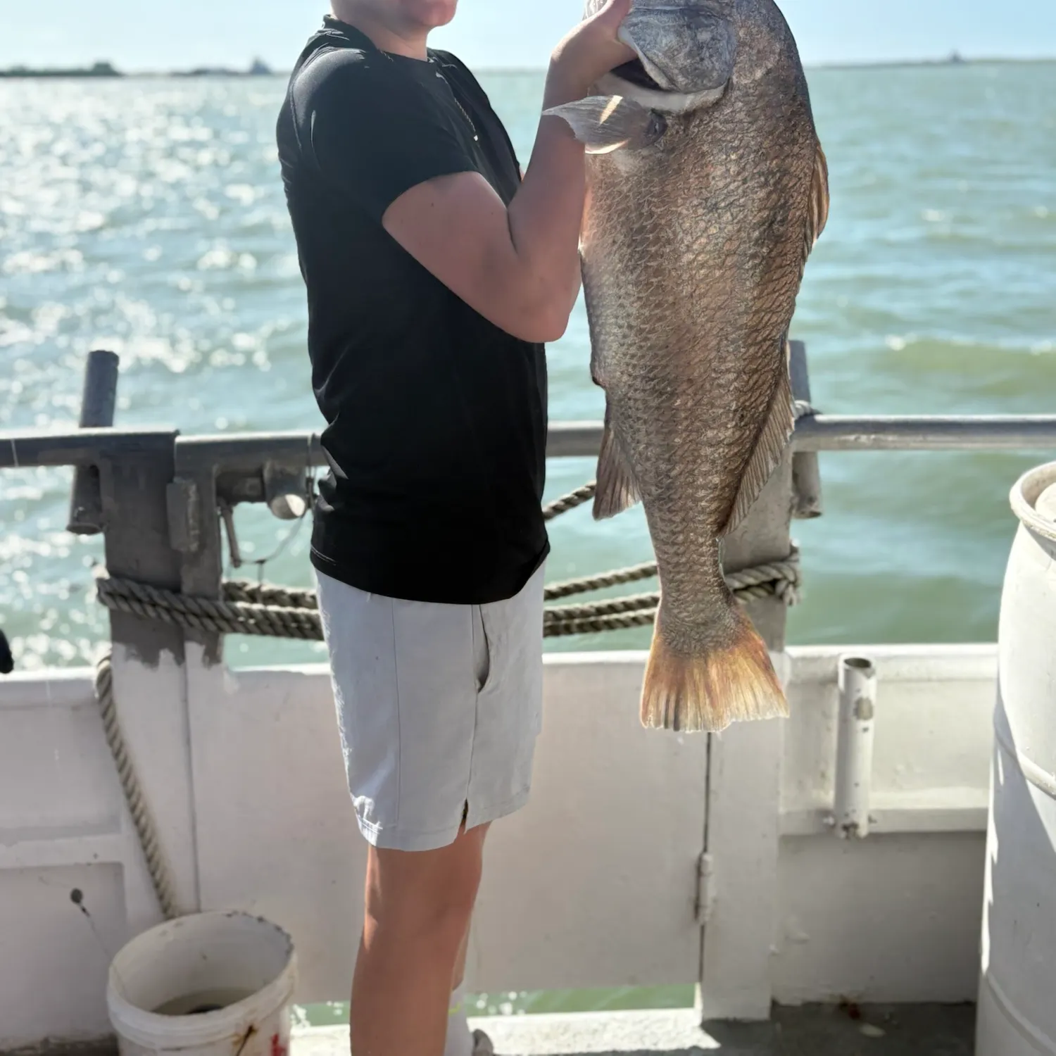 Black drum caught on Fishbrain