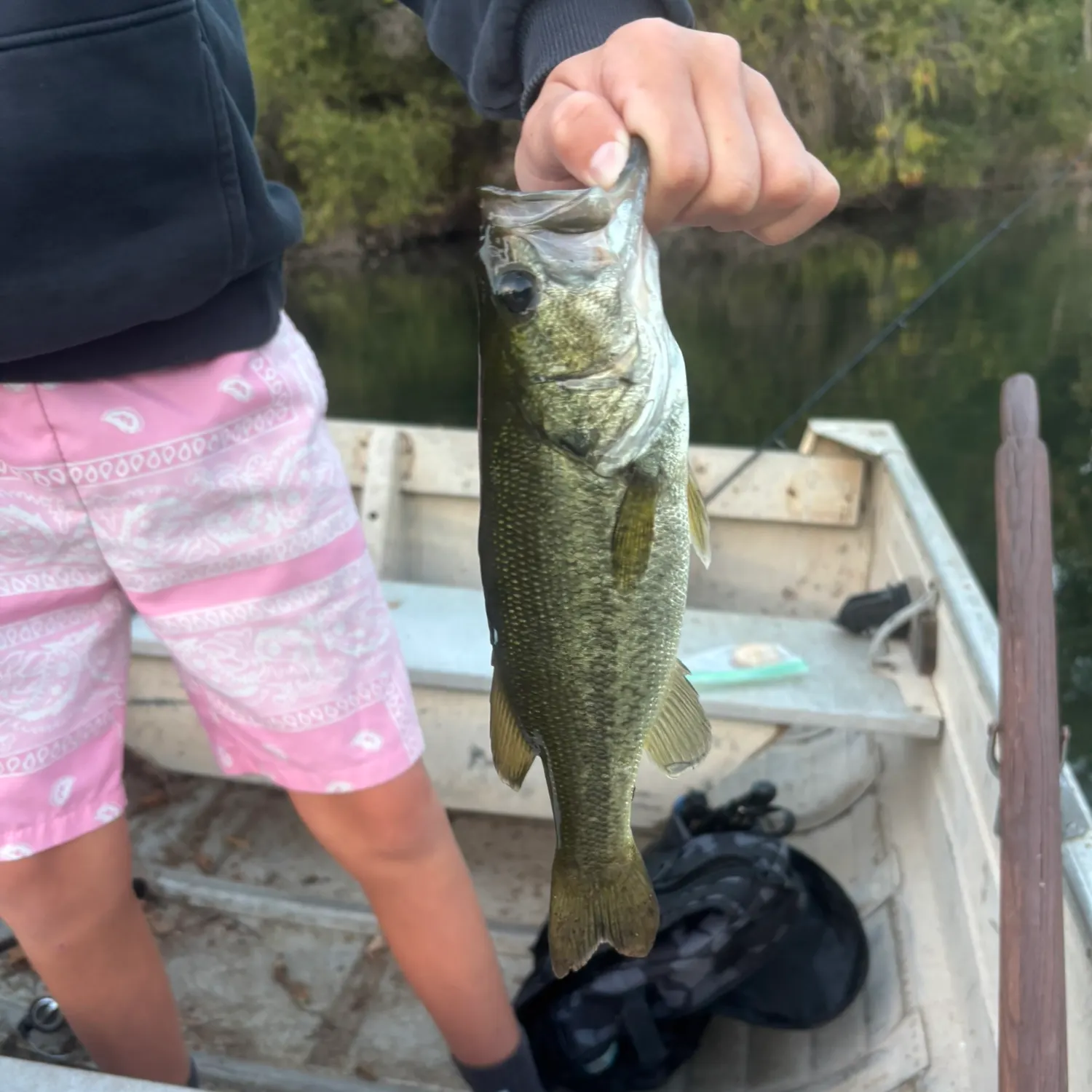 Fish caught on Fishbrain