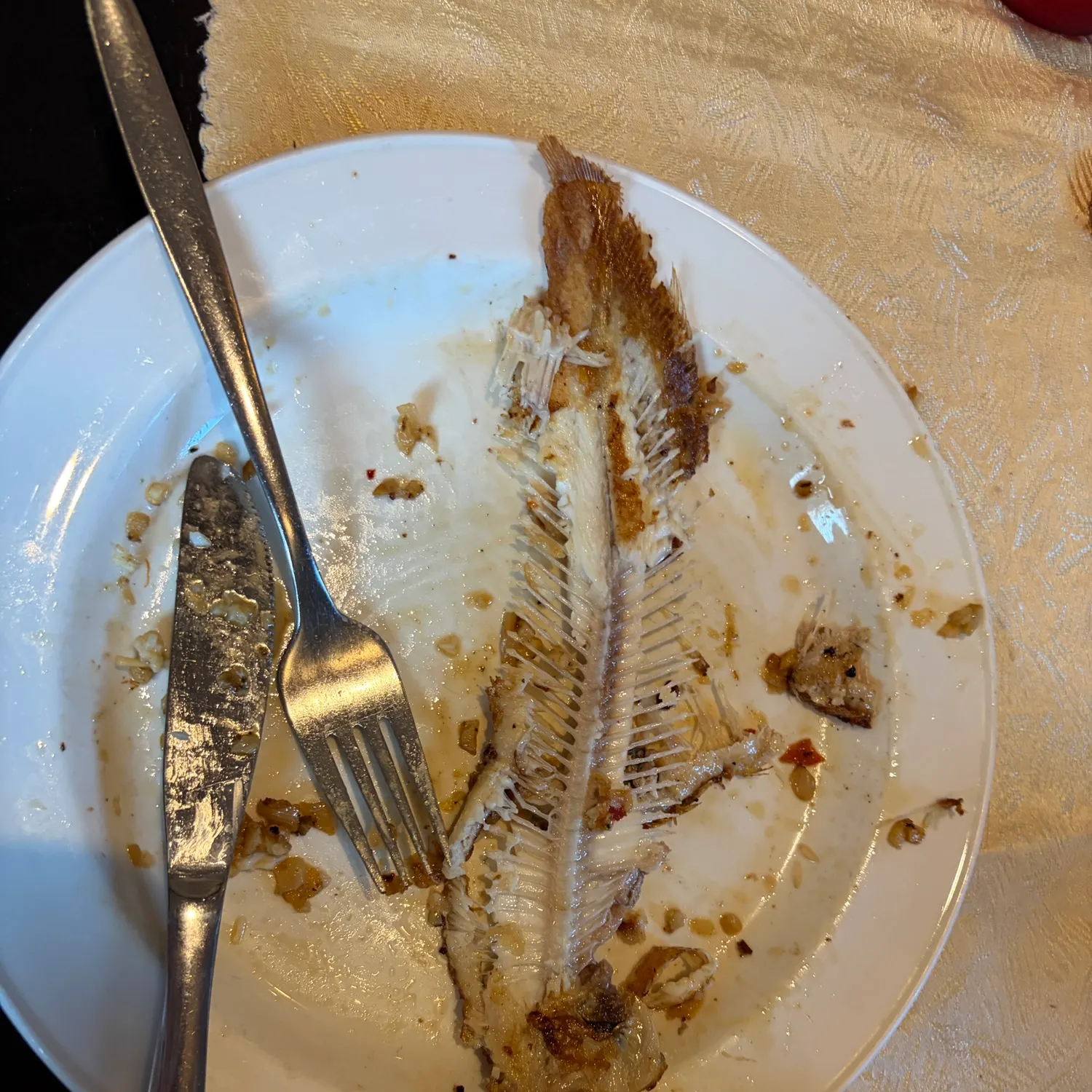 The most recent Dover sole catches on Fishbrain