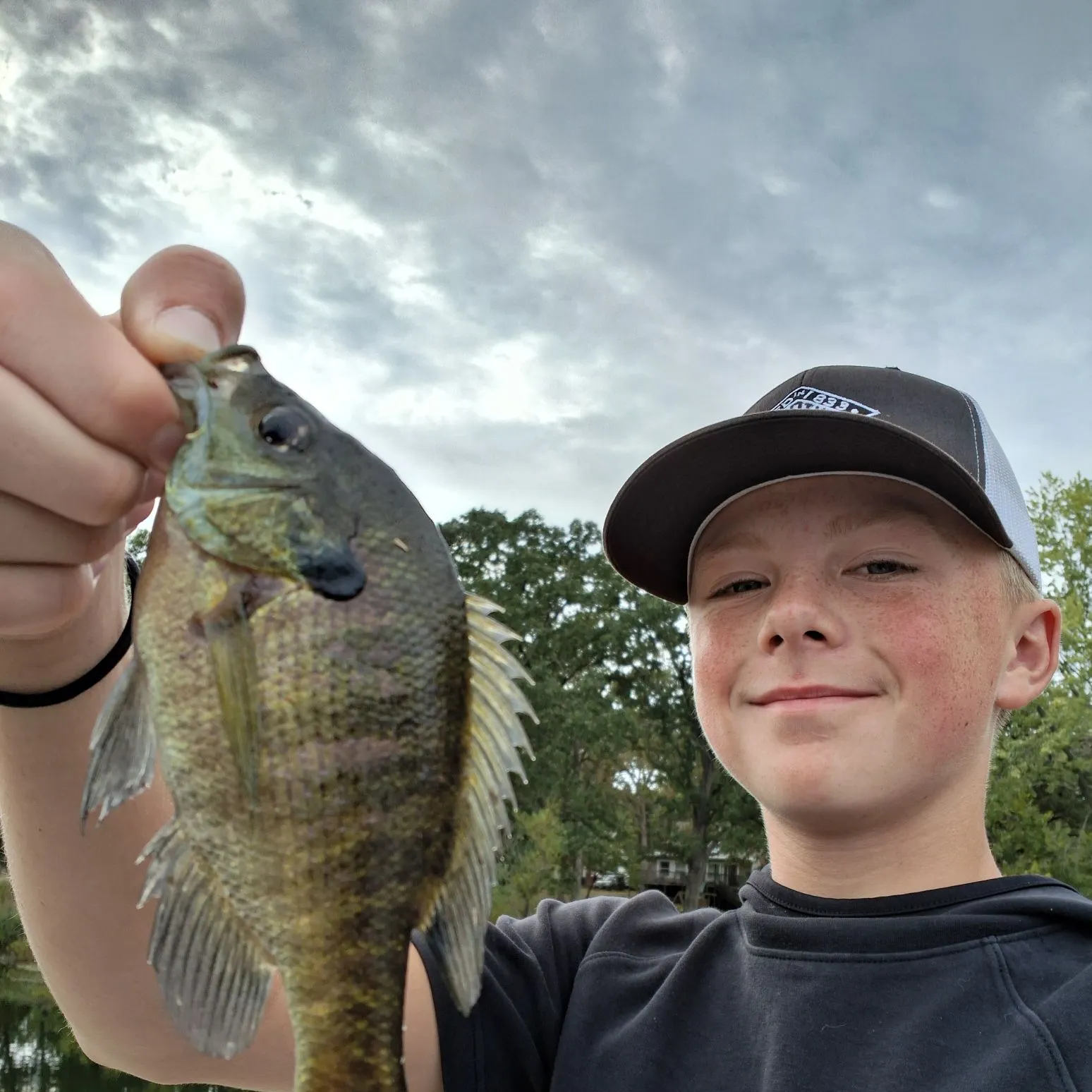 Bluegill caught on Fishbrain