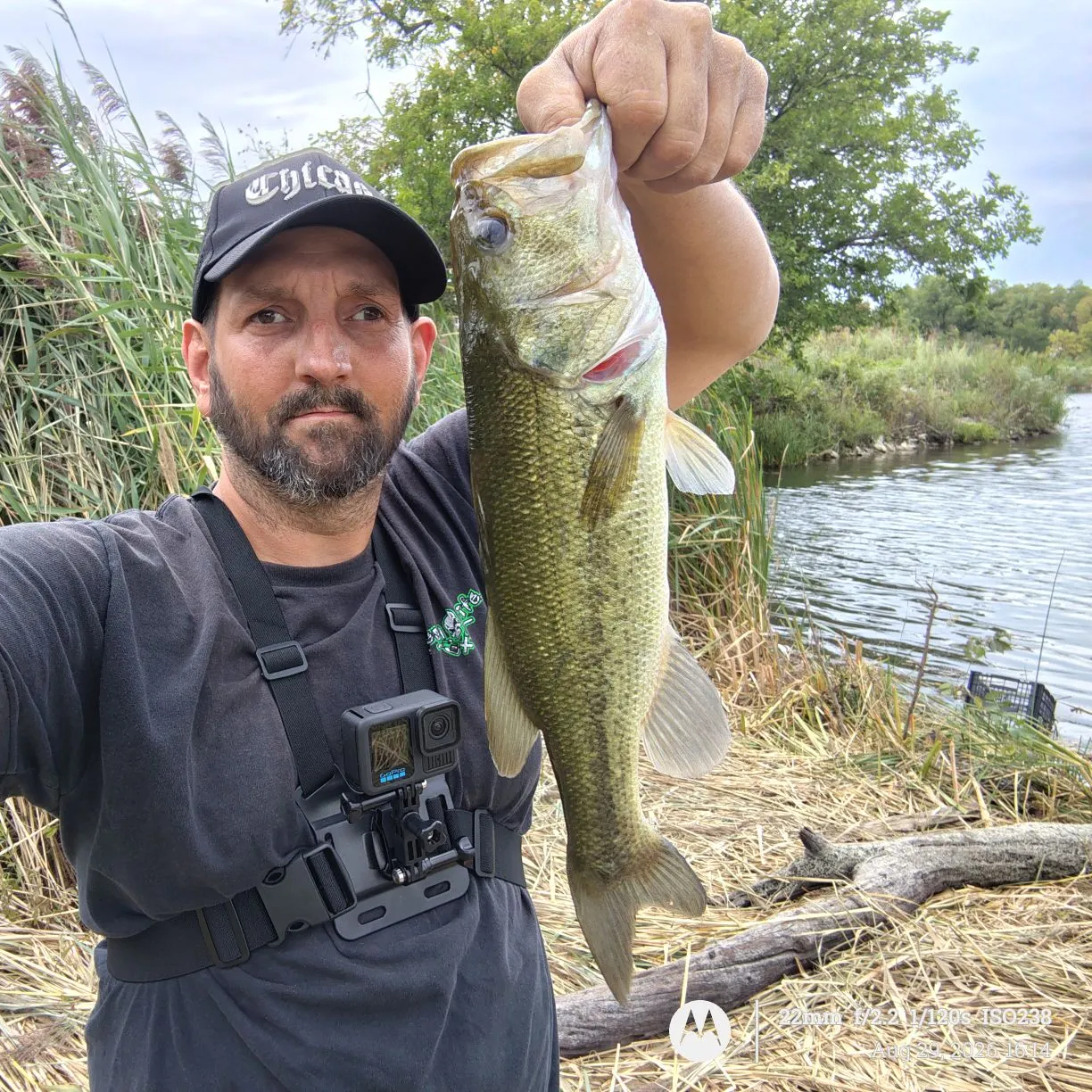 Largemouth bass caught on Fishbrain