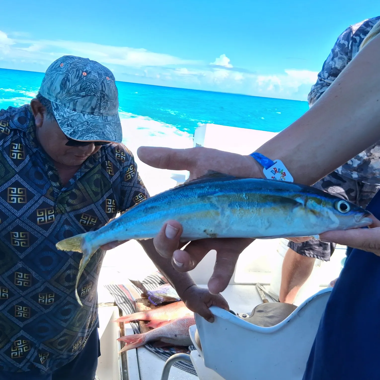 The most recent Rainbow runner catches on Fishbrain