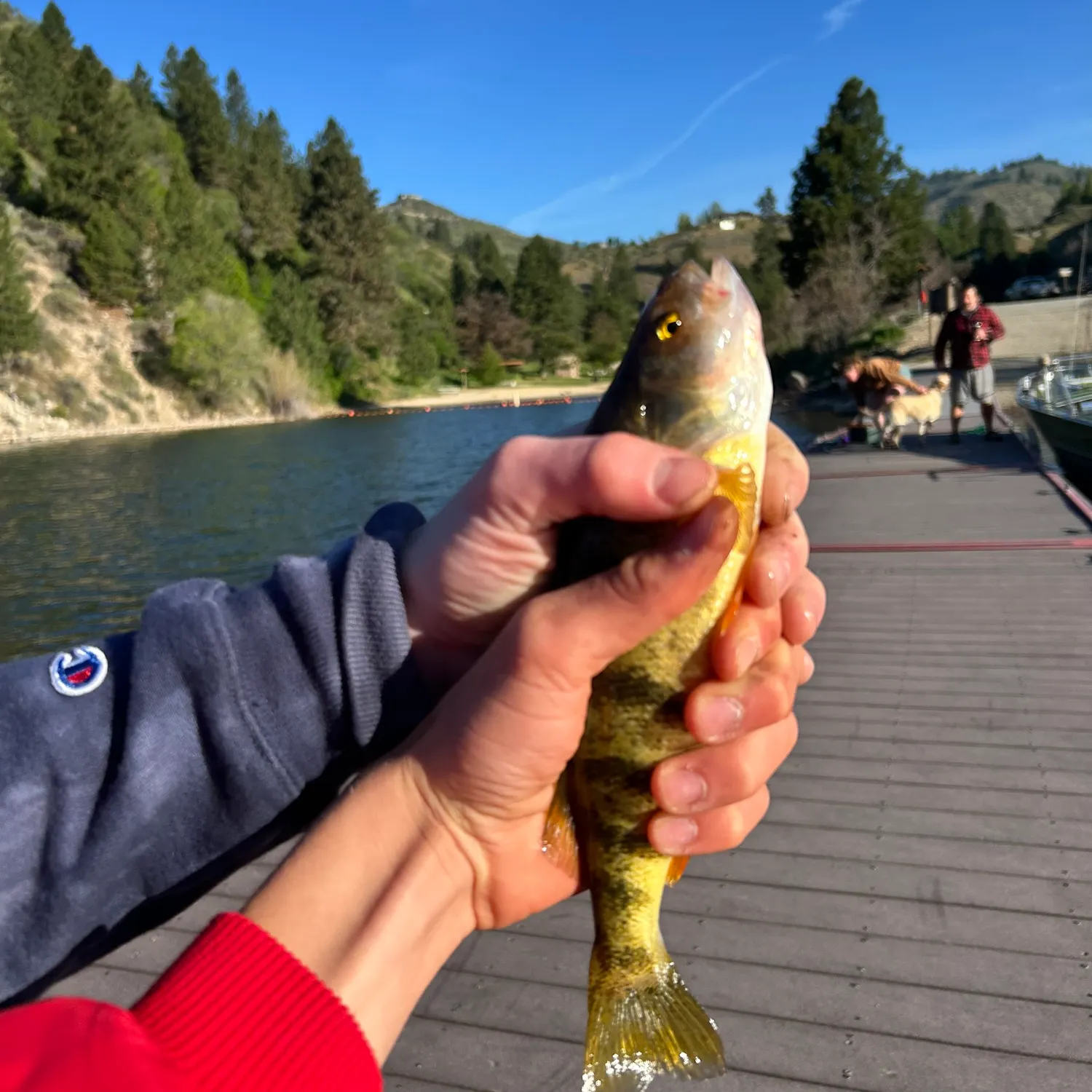 catch