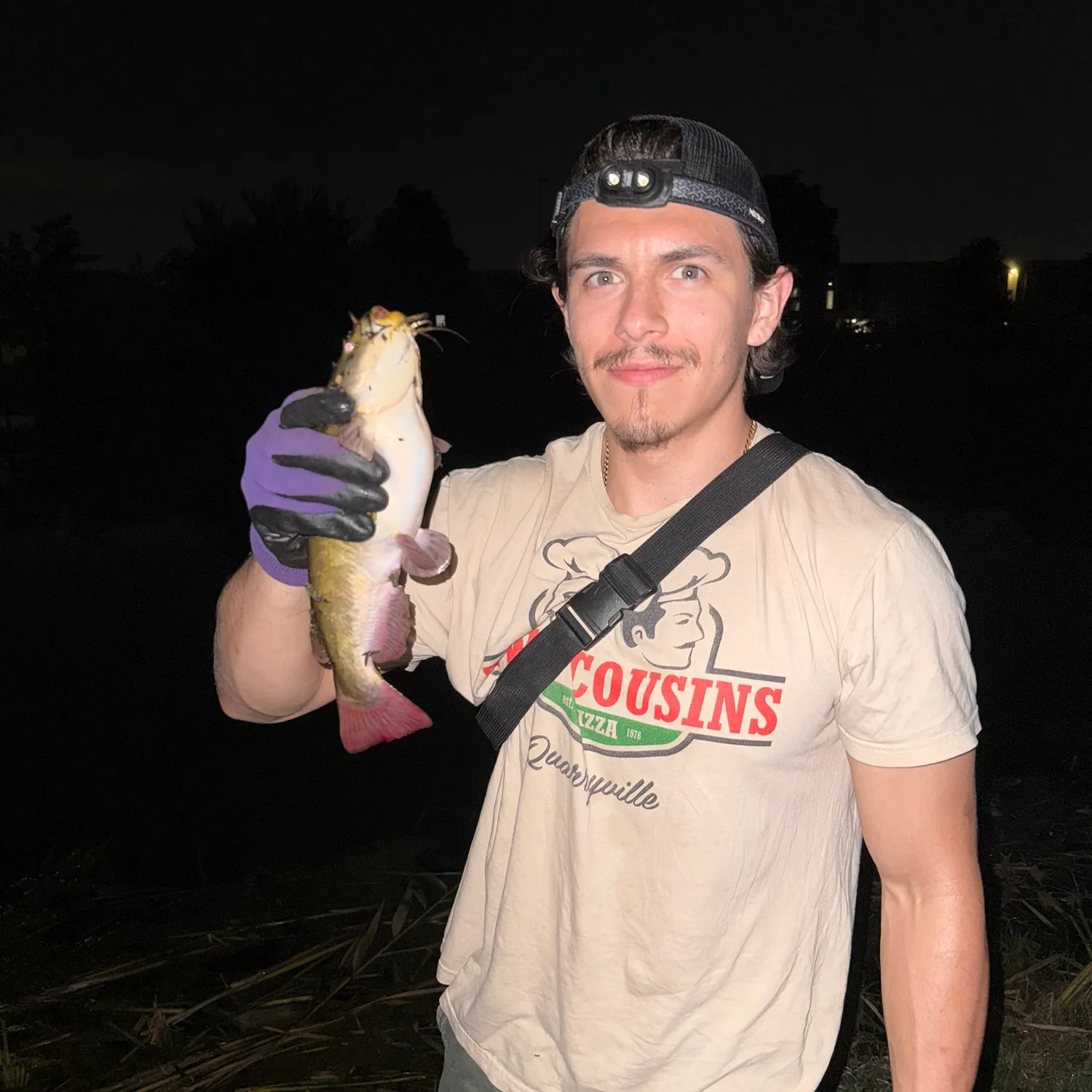 The most recent Brown bullhead catches on Fishbrain