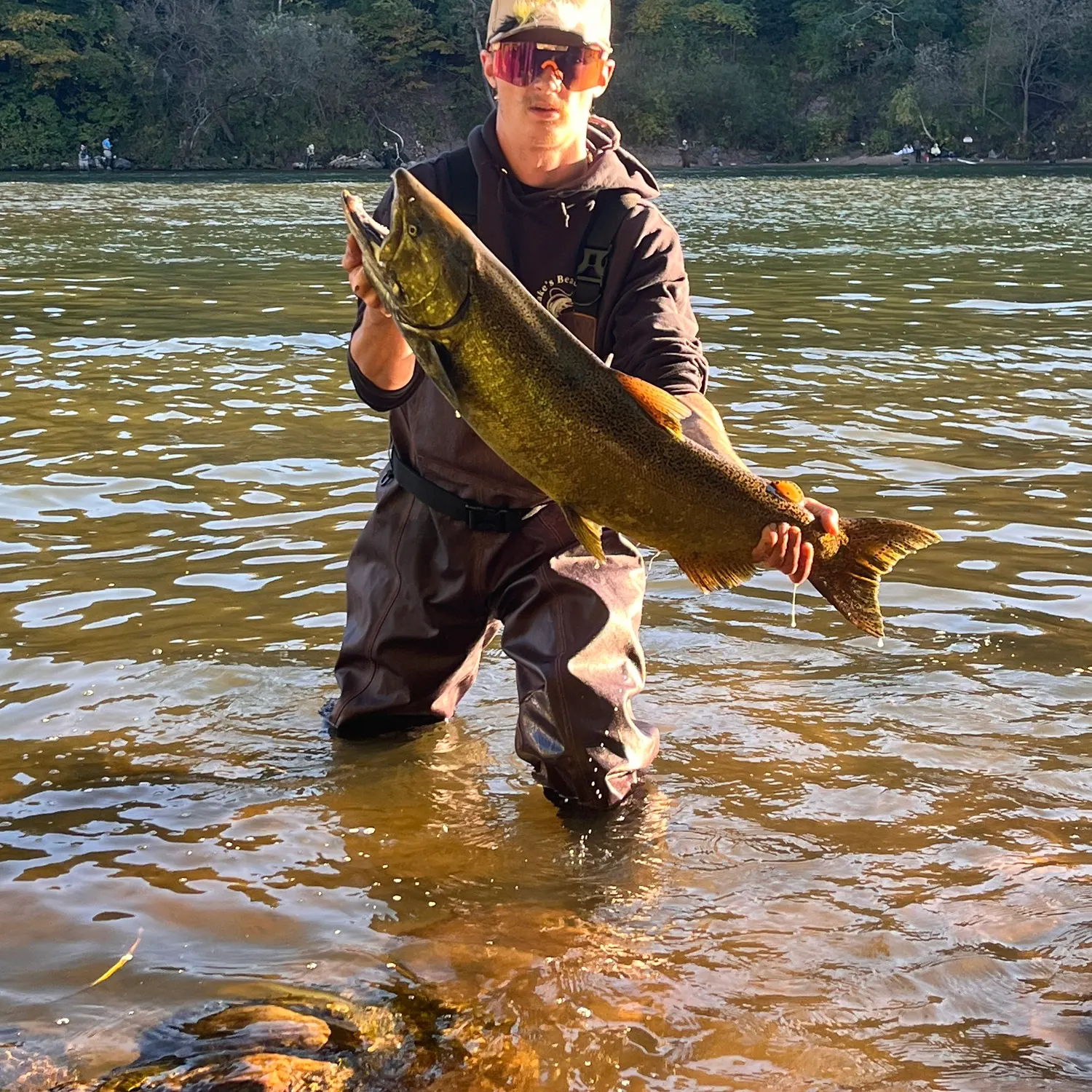 Chinook salmon caught on Fishbrain
