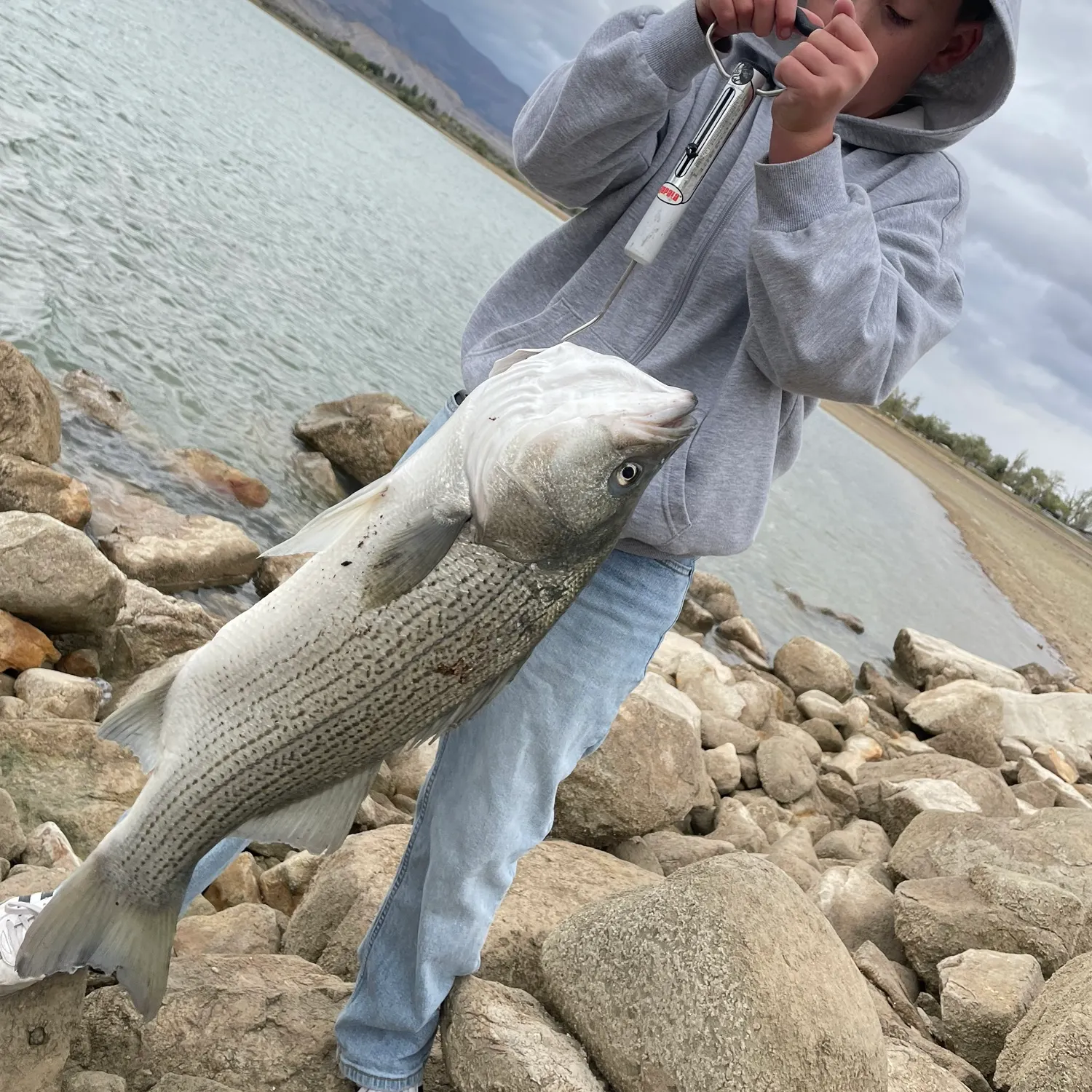 Wiper caught on Fishbrain