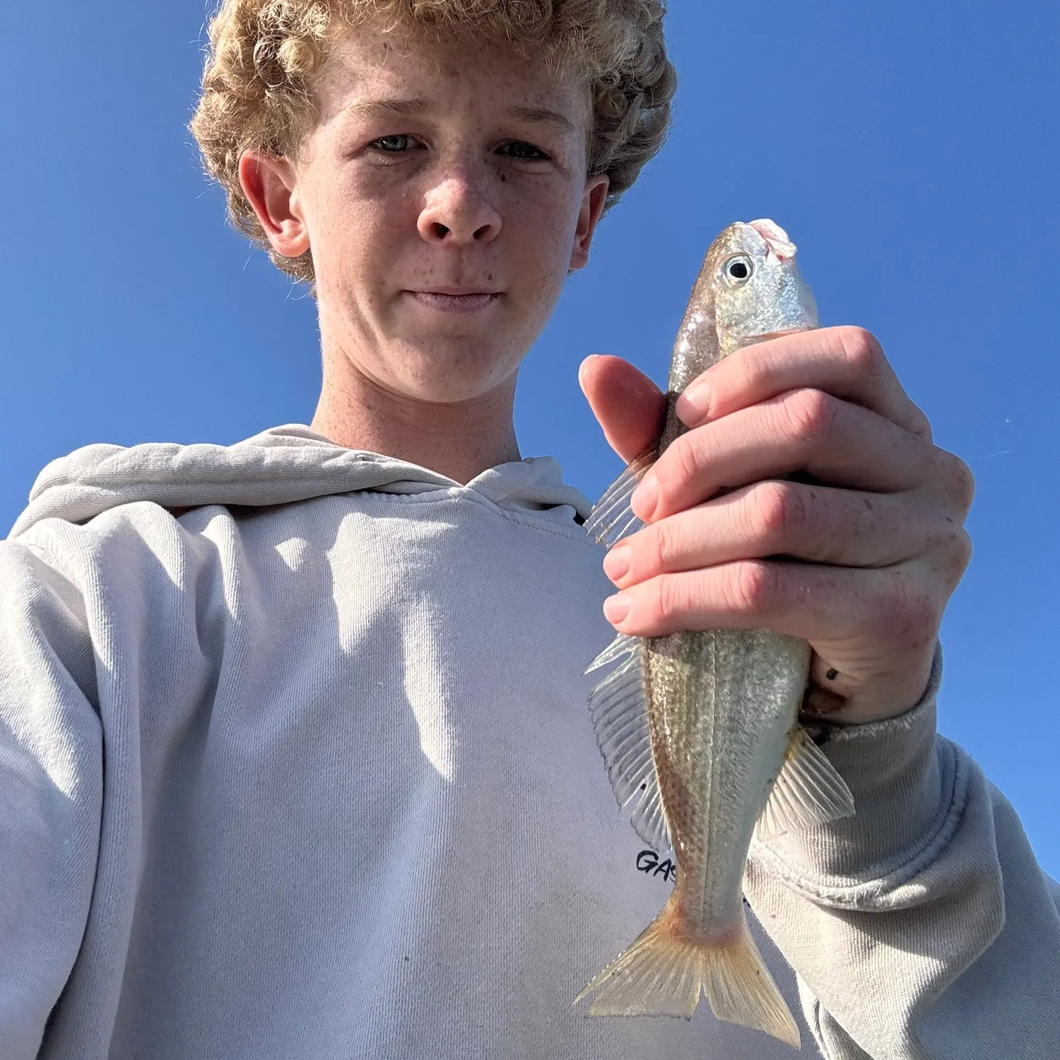 The most recent White croaker catches on Fishbrain