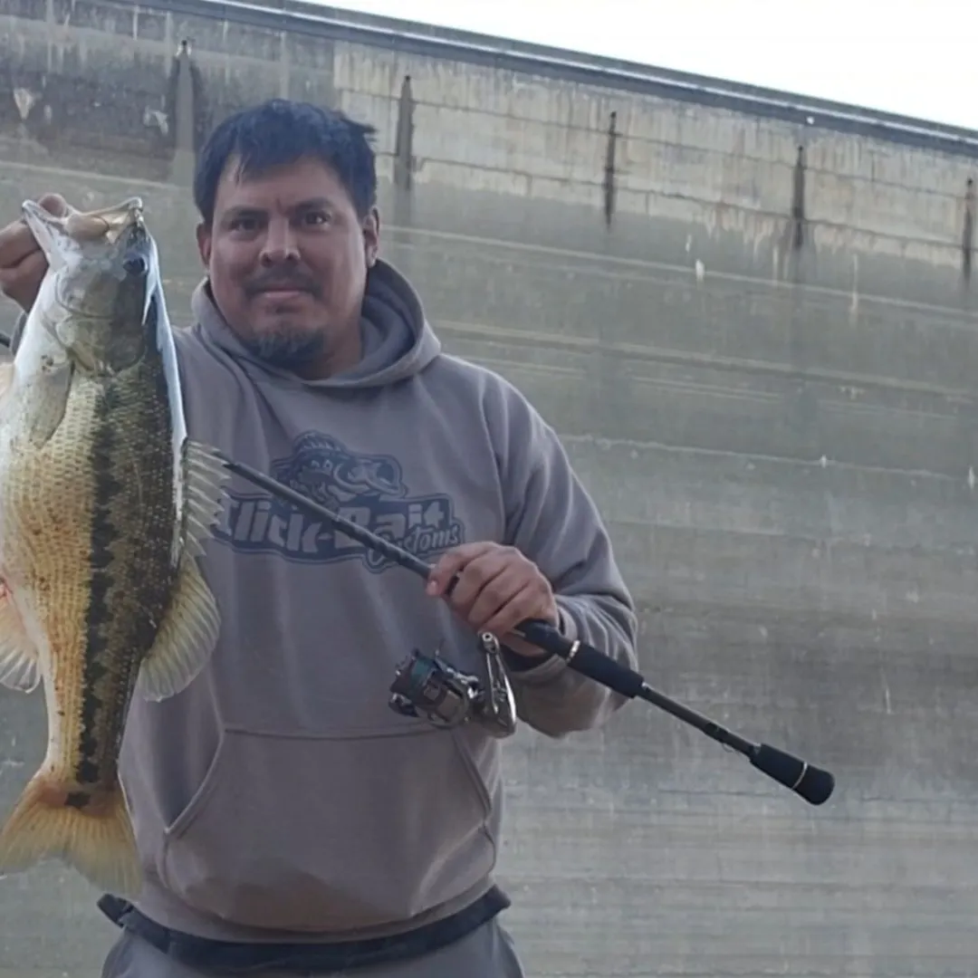 Spotted bass caught on Fishbrain
