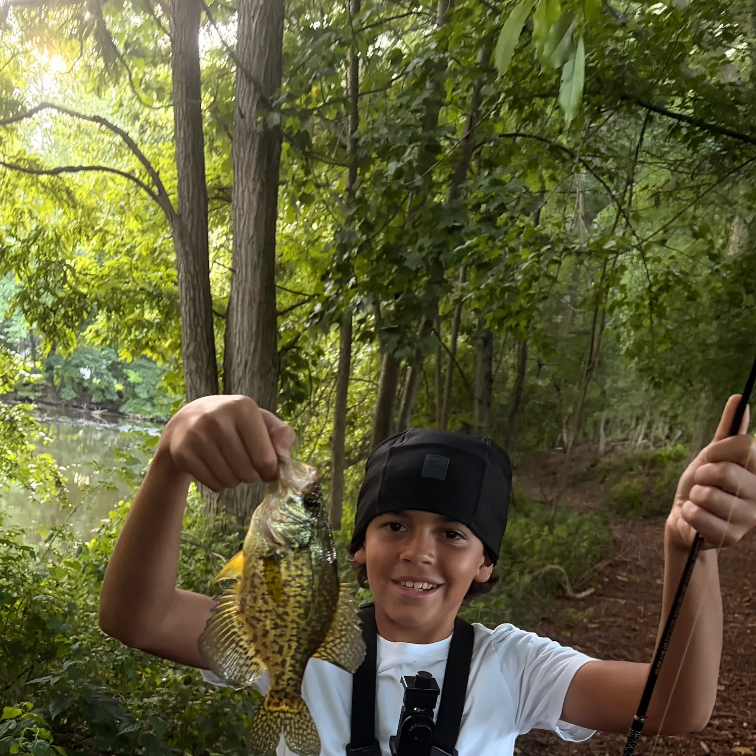Black crappie caught on Fishbrain