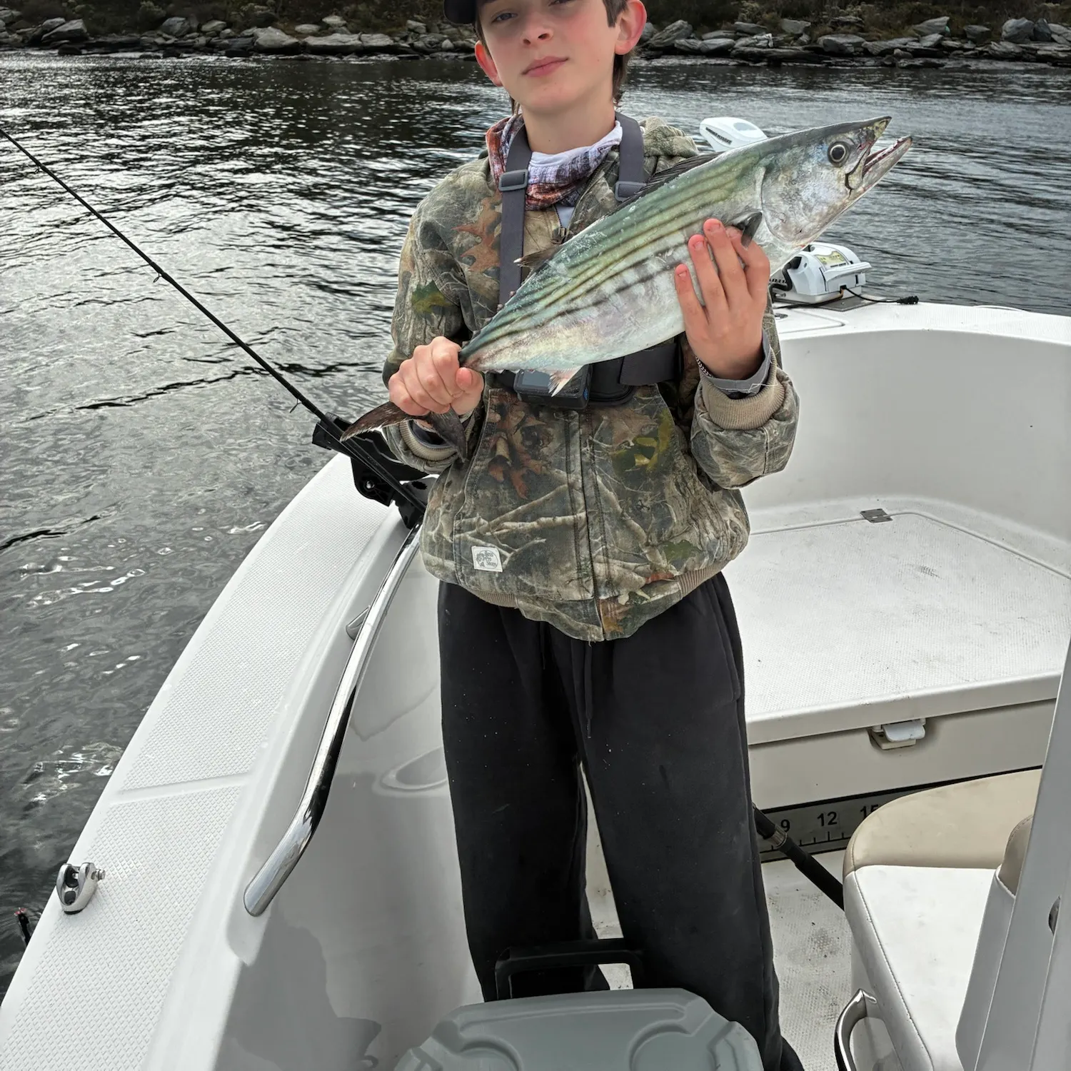 The most recent Atlantic bonito catches on Fishbrain