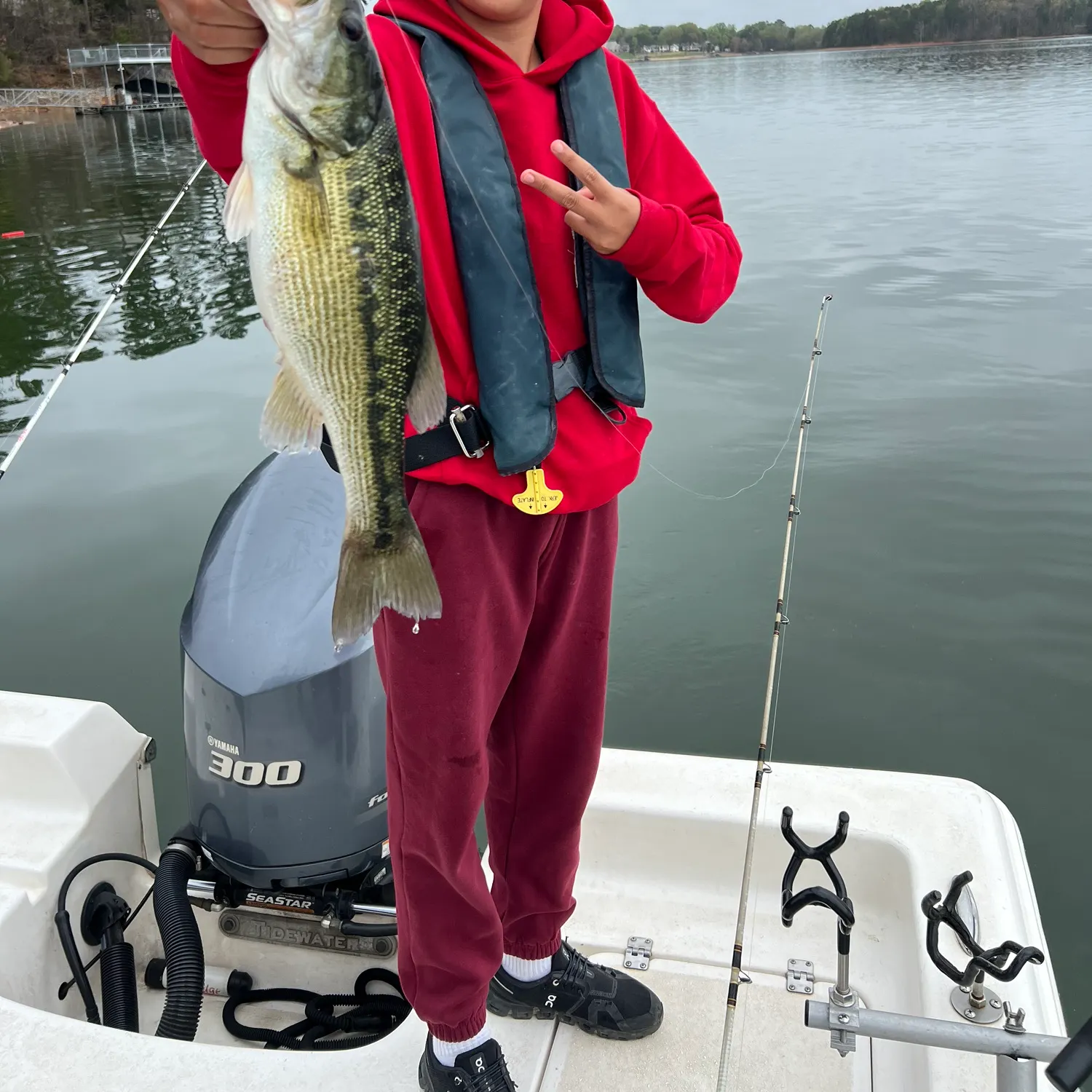 The most recent Alabama bass catches on Fishbrain
