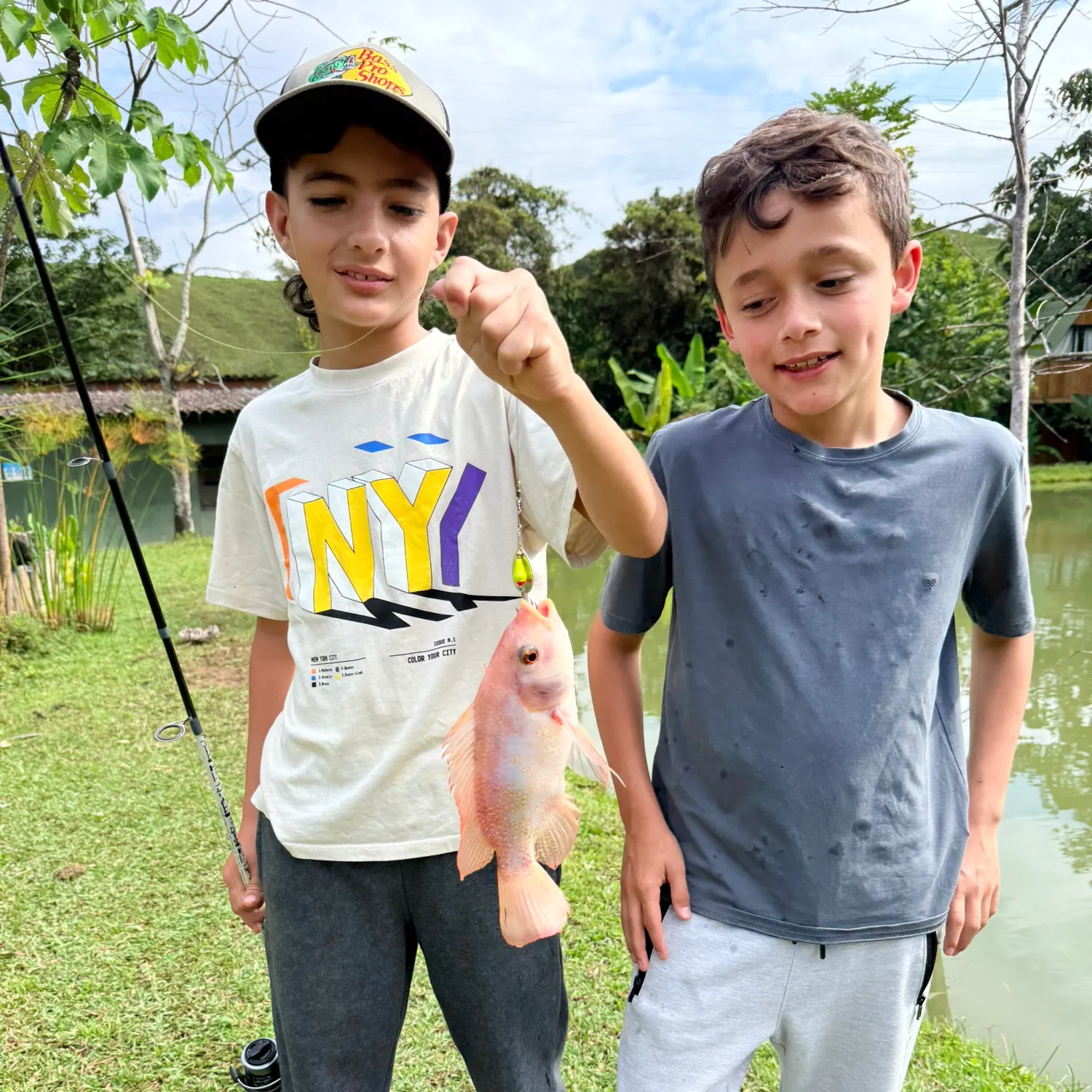 Red tilapia caught on Fishbrain
