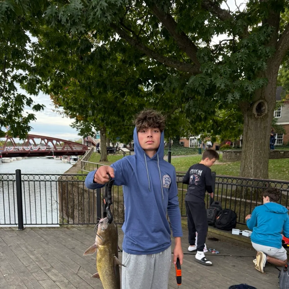 Channel catfish caught on Fishbrain
