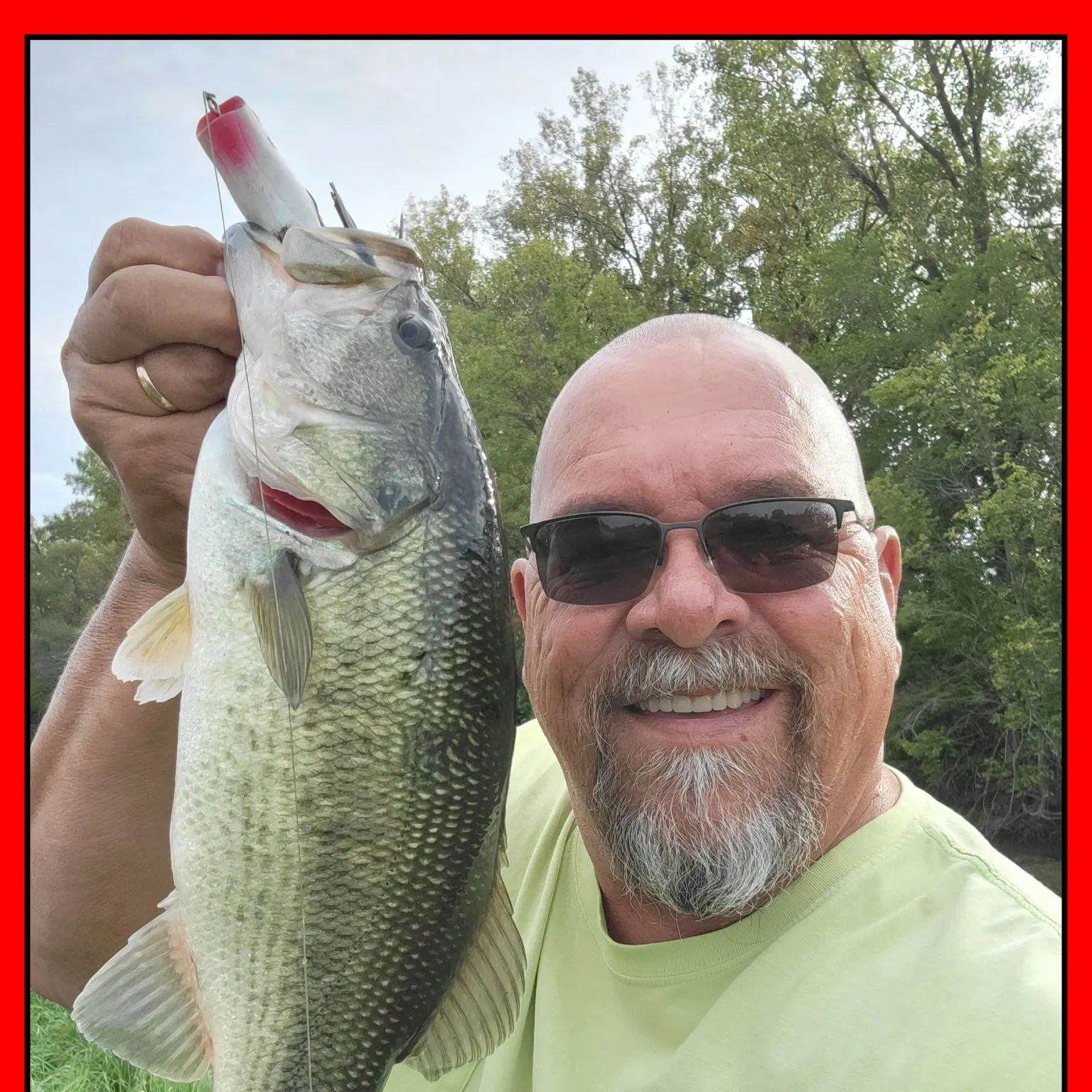 Largemouth bass caught on Fishbrain