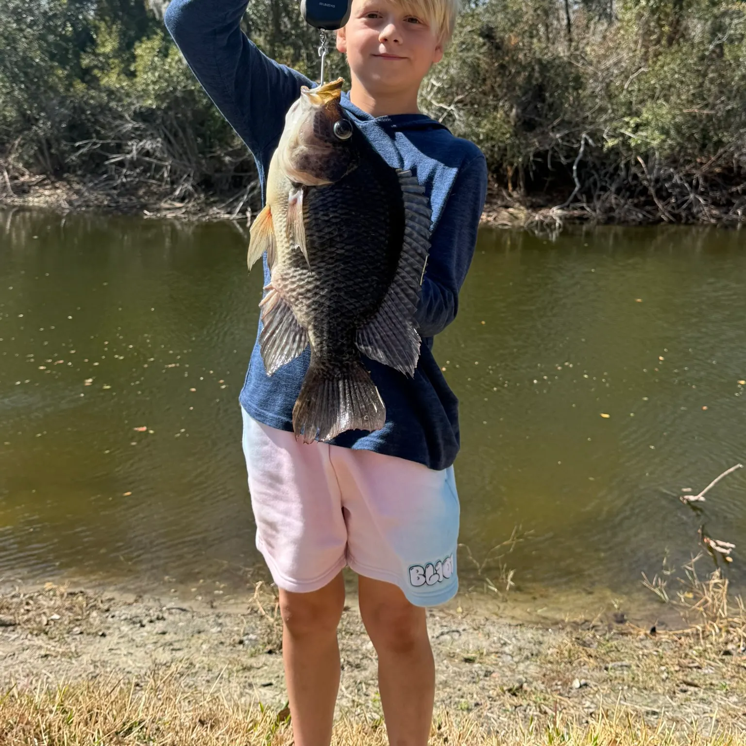 The most recent Blue tilapia catches on Fishbrain