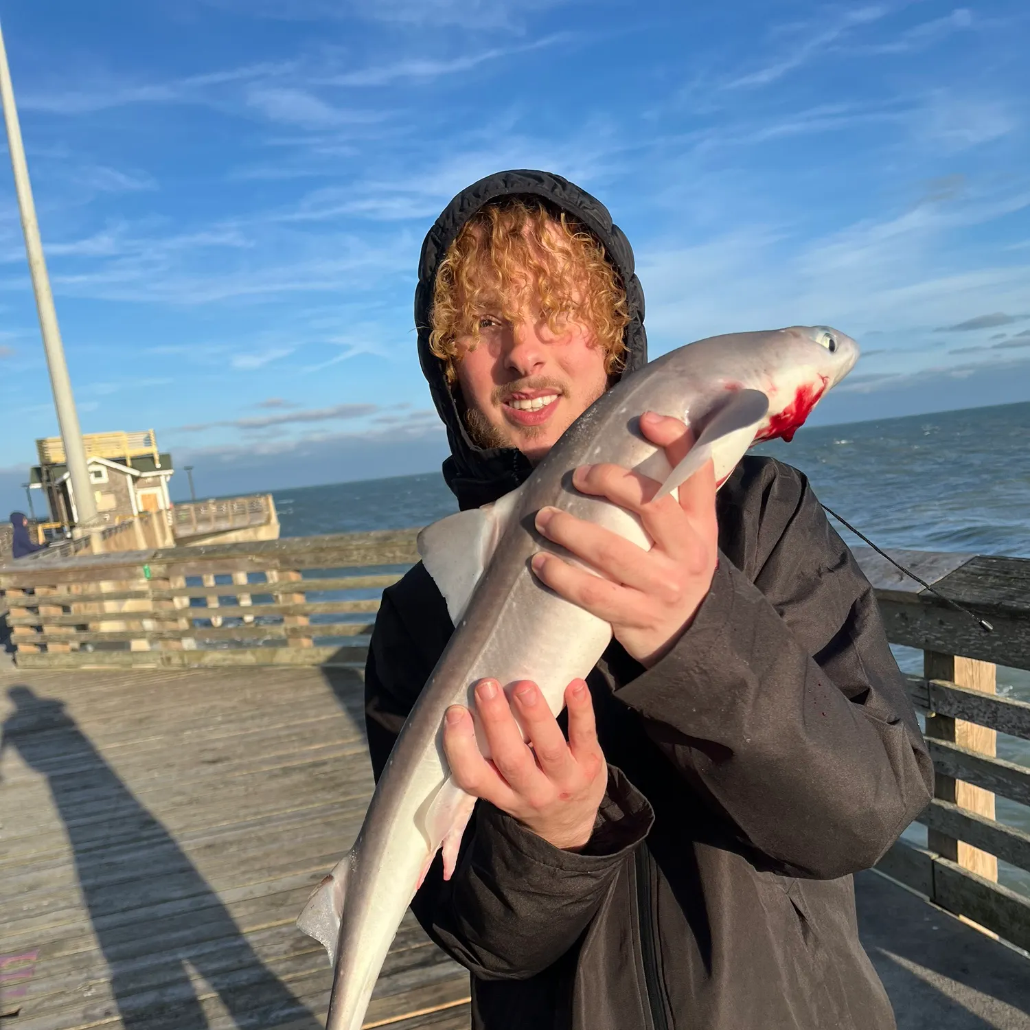 The most recent Piked dogfish catches on Fishbrain
