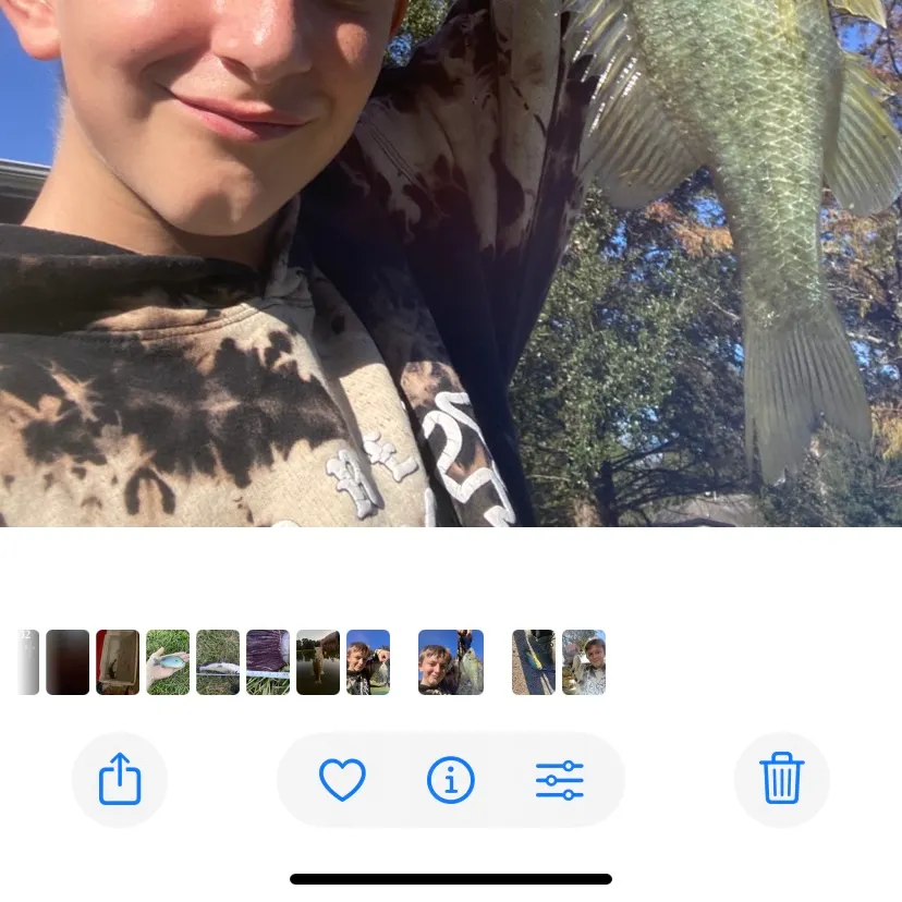 recently logged catches