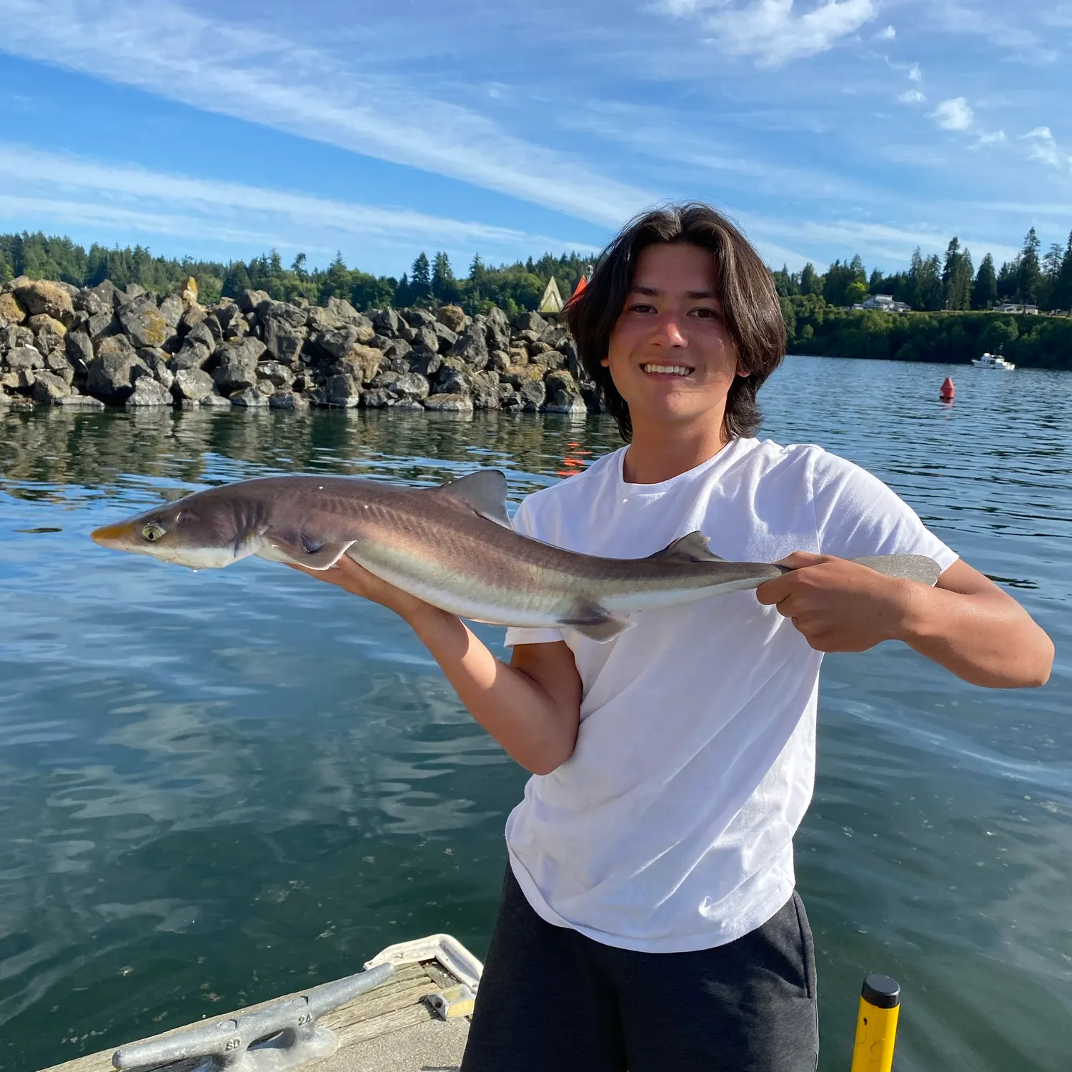 The most recent Pacific spiny dogfish catches on Fishbrain