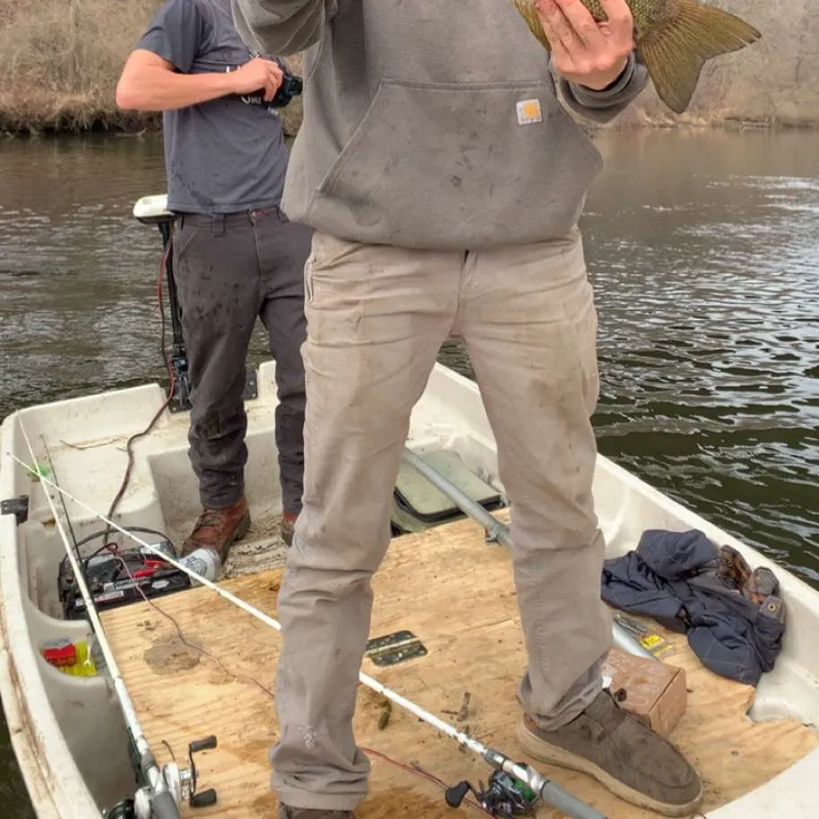 angler catch