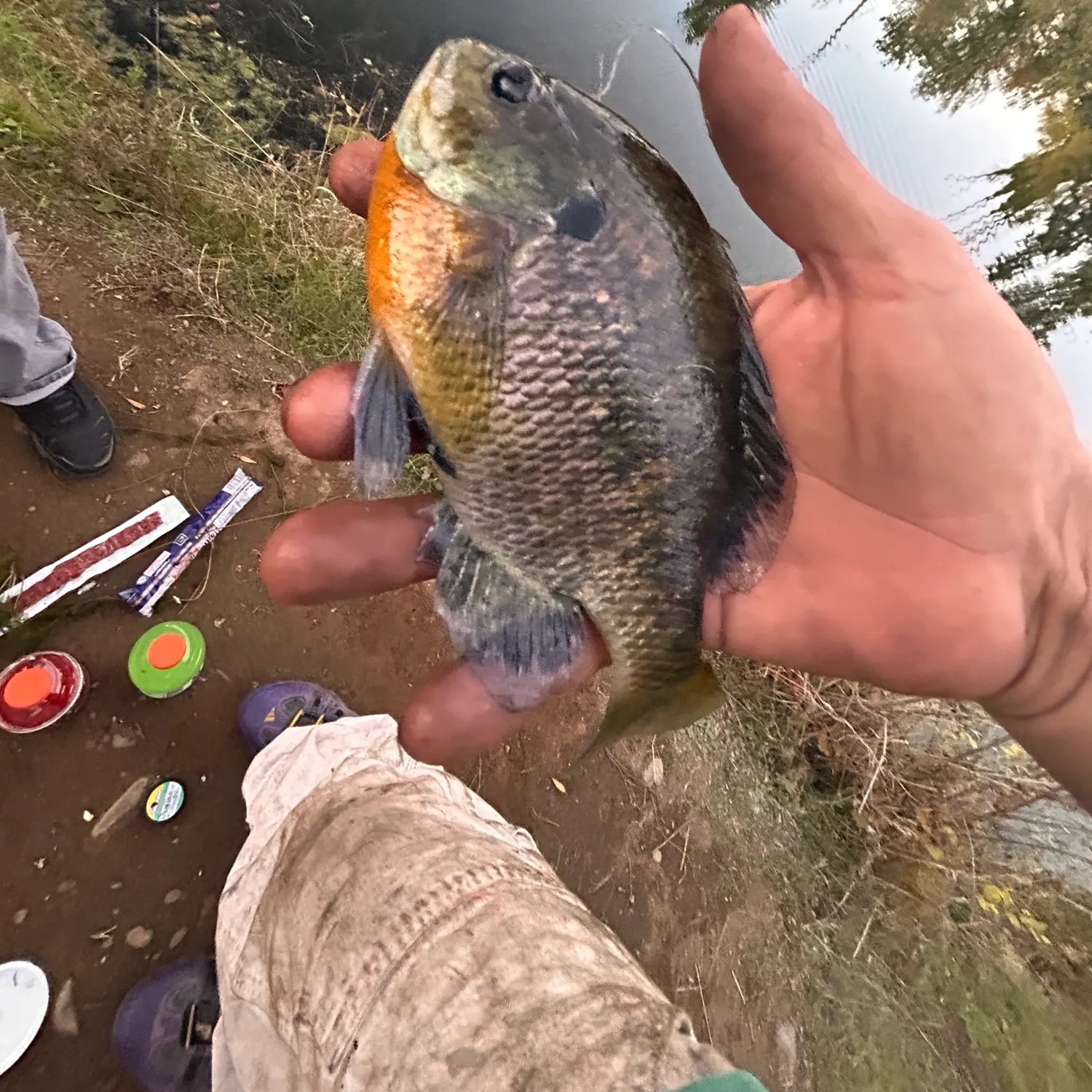 catch