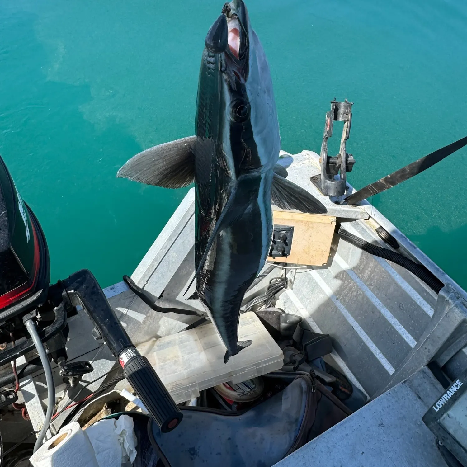 Fishing in Mackay (Australia) ️️️️ Find Spots, Species & Tips