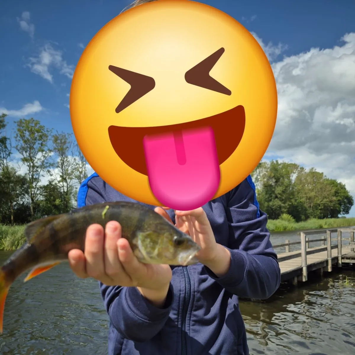 European perch caught on Fishbrain
