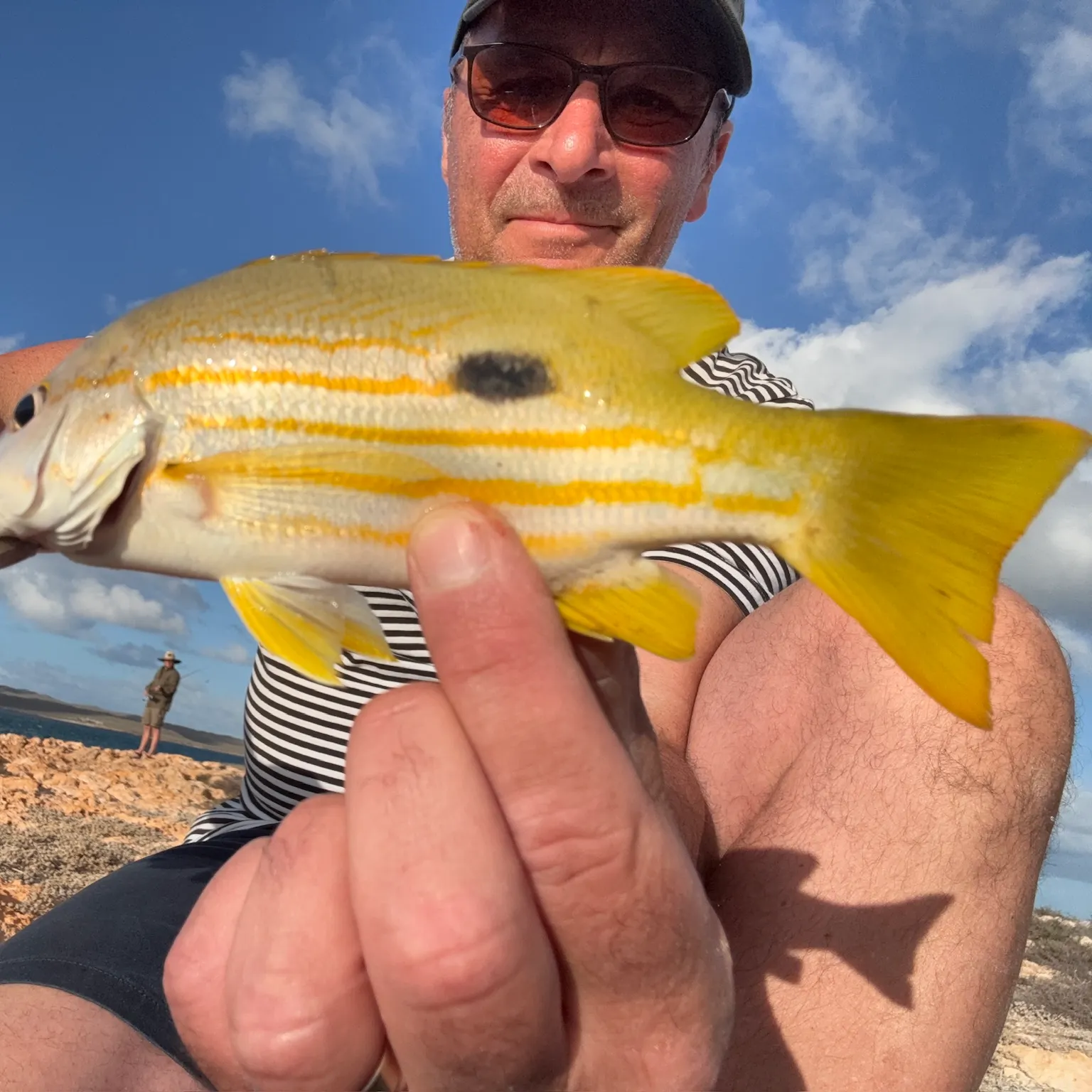 The most recent Moses perch catches on Fishbrain